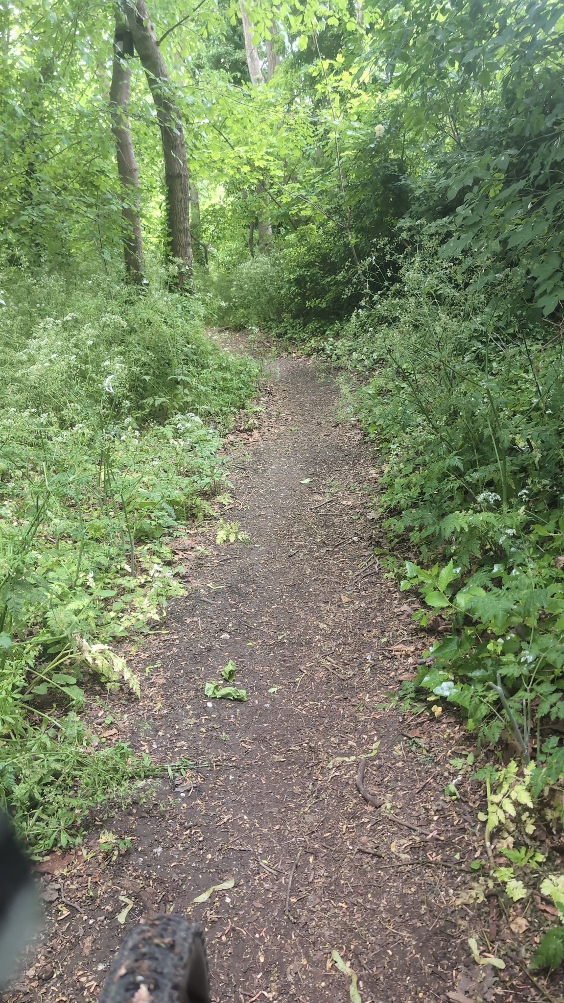 stile plantation Very steep
