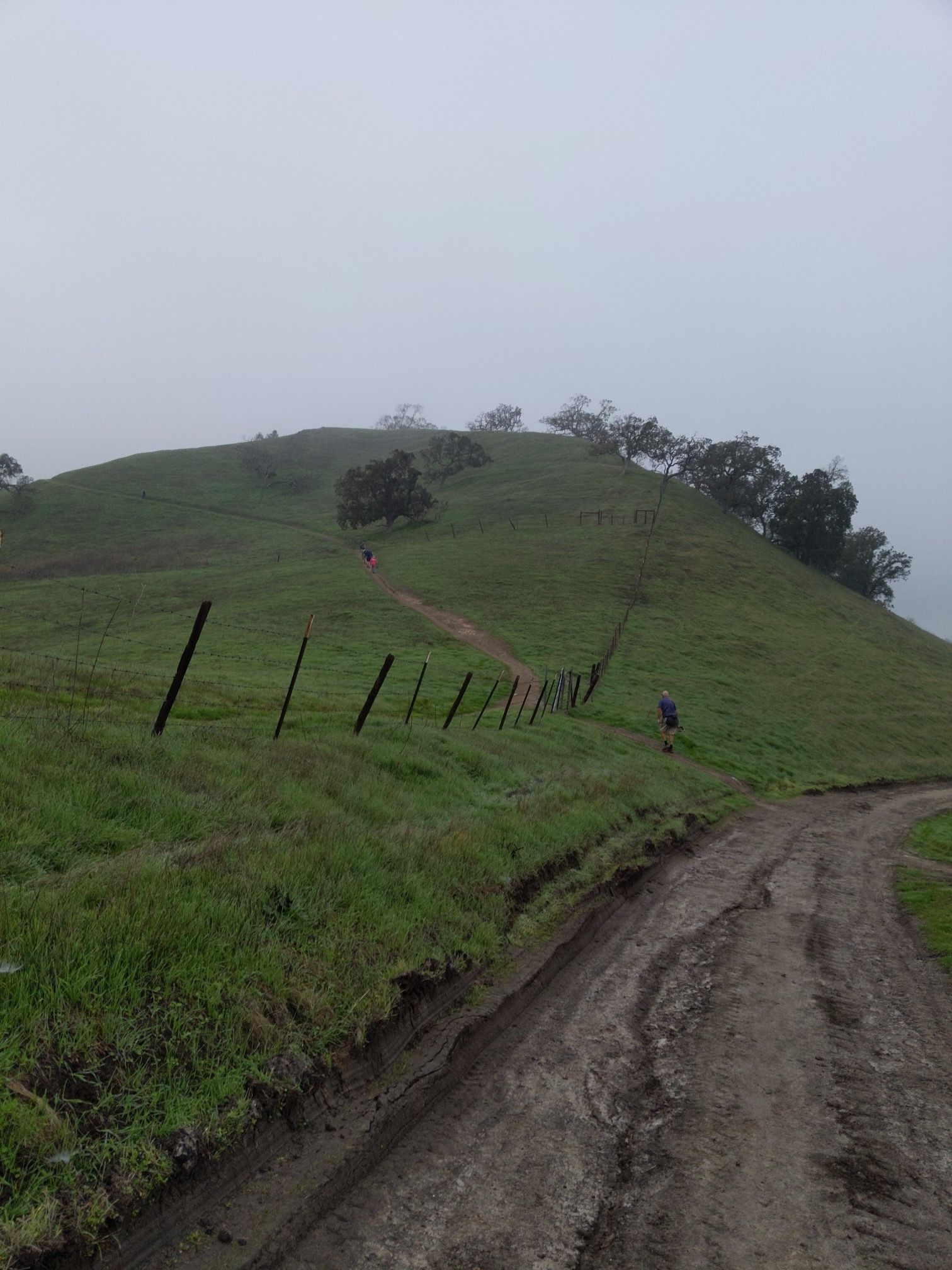 Muddy road ascending a foggy green hill with a fence and distant hiker. - Ridge Top Loop