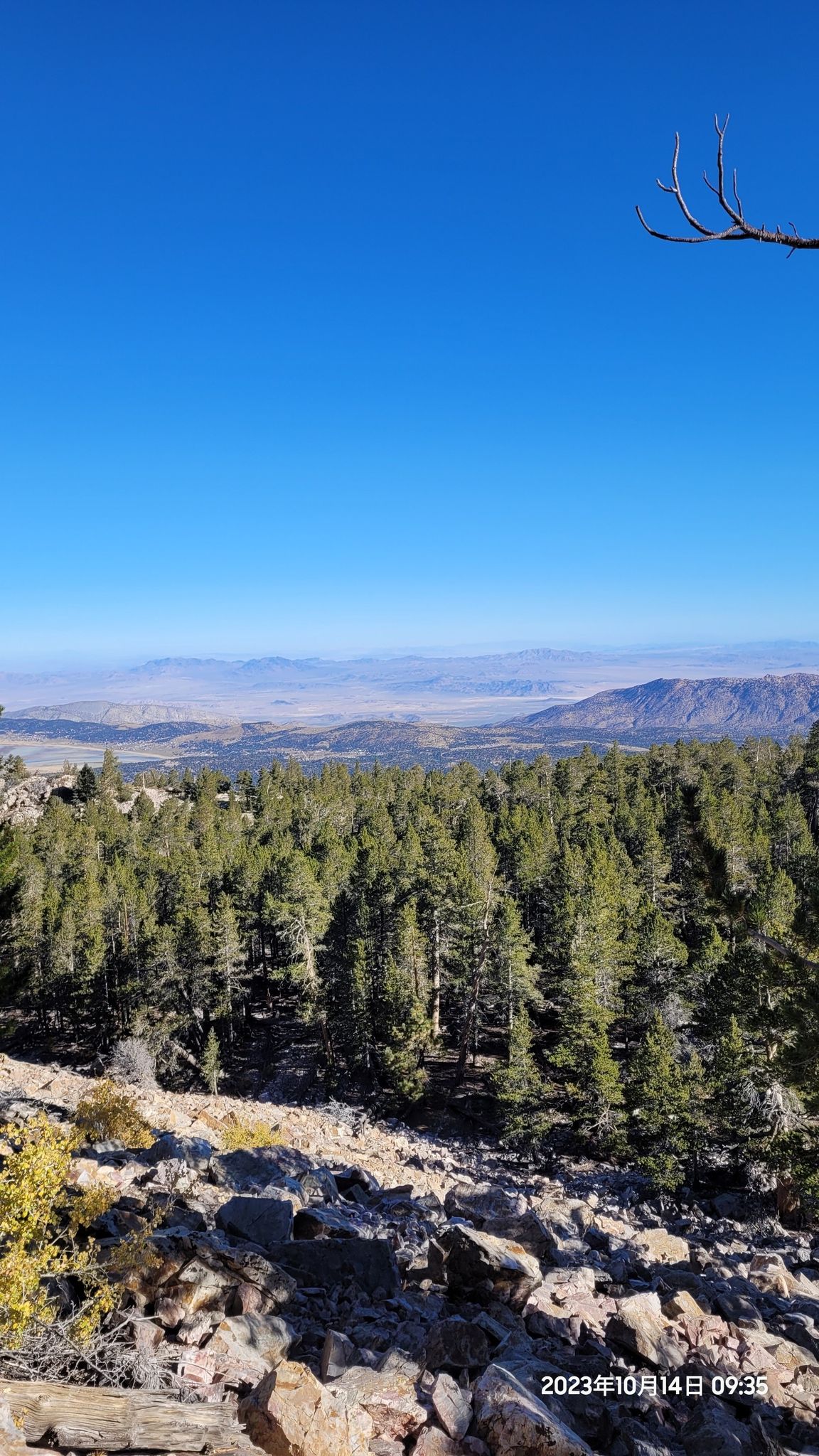 Expansive view of a forest and valley under a clear blue sky. - Sugarloaf Mountain Trail – Green Canyon Trailhead loop from Big Bear City