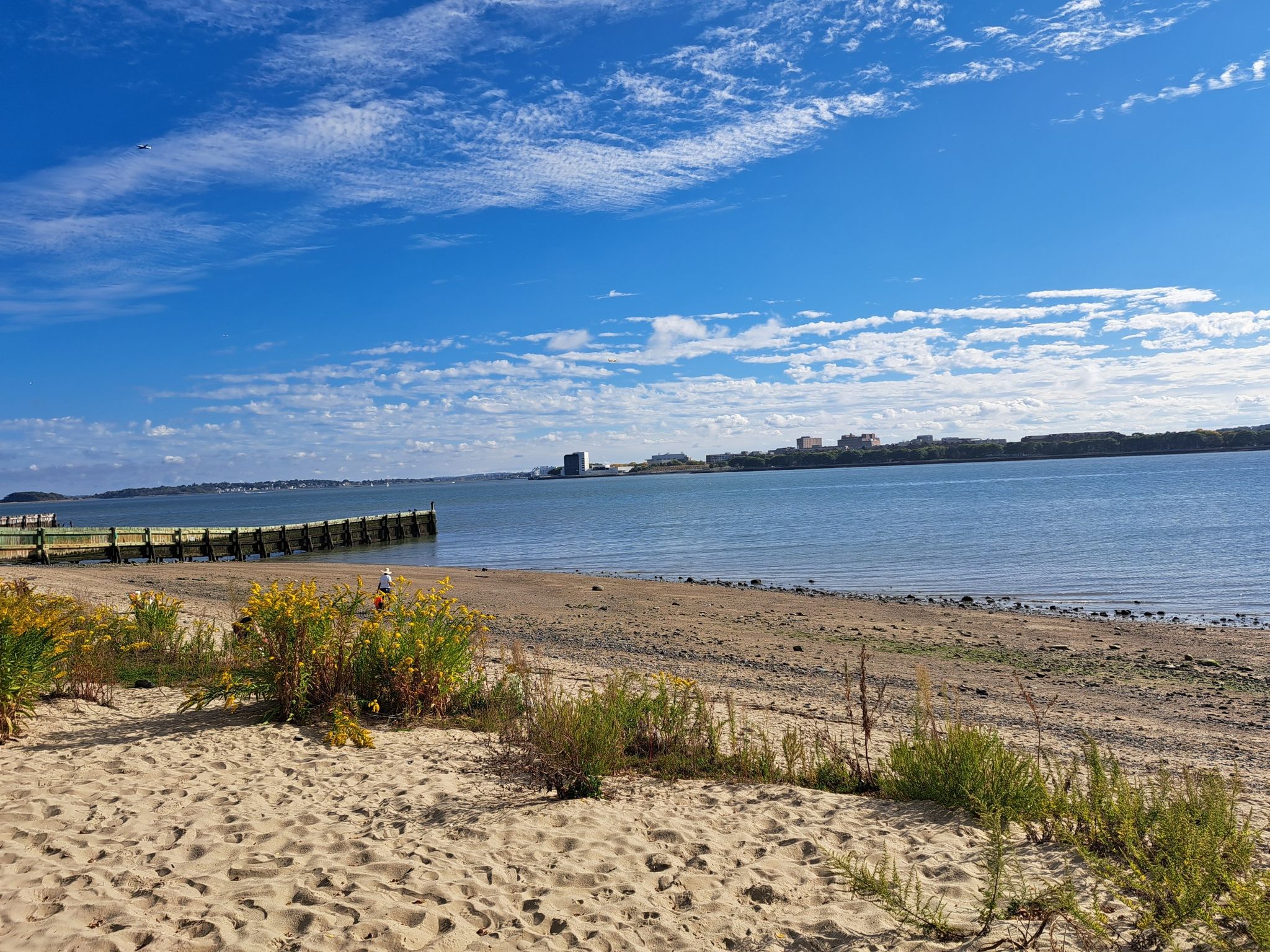 Sandy beach, wooden pier, calm blue water, distant buildings under partly cloudy sky. - Boston HarborWalk: Castle Island and Pleasure Bay Loop
