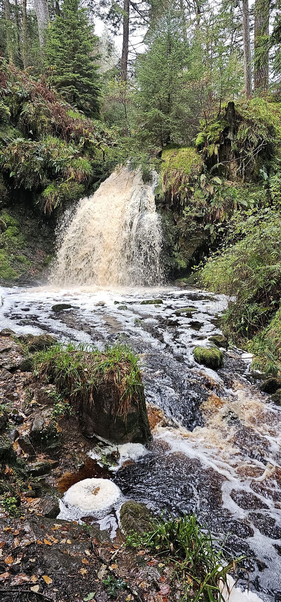 Hindhope linn waterfall