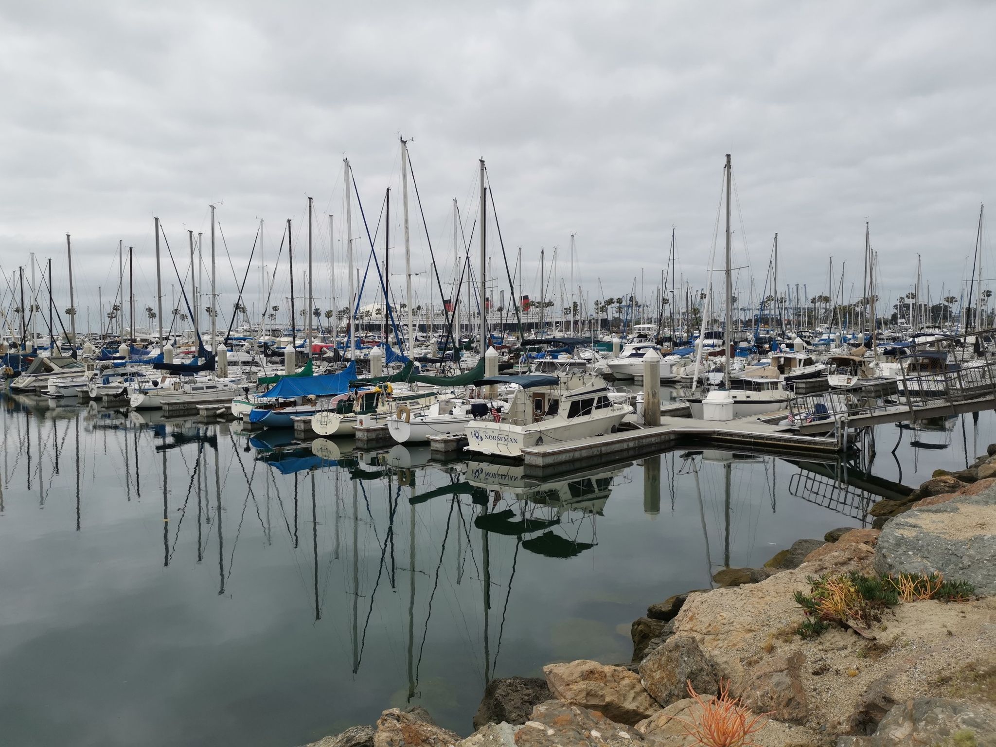 Marina with many sailboats and yachts reflecting in calm water under overcast sky. - Shoreline Beach Pedestrian Path