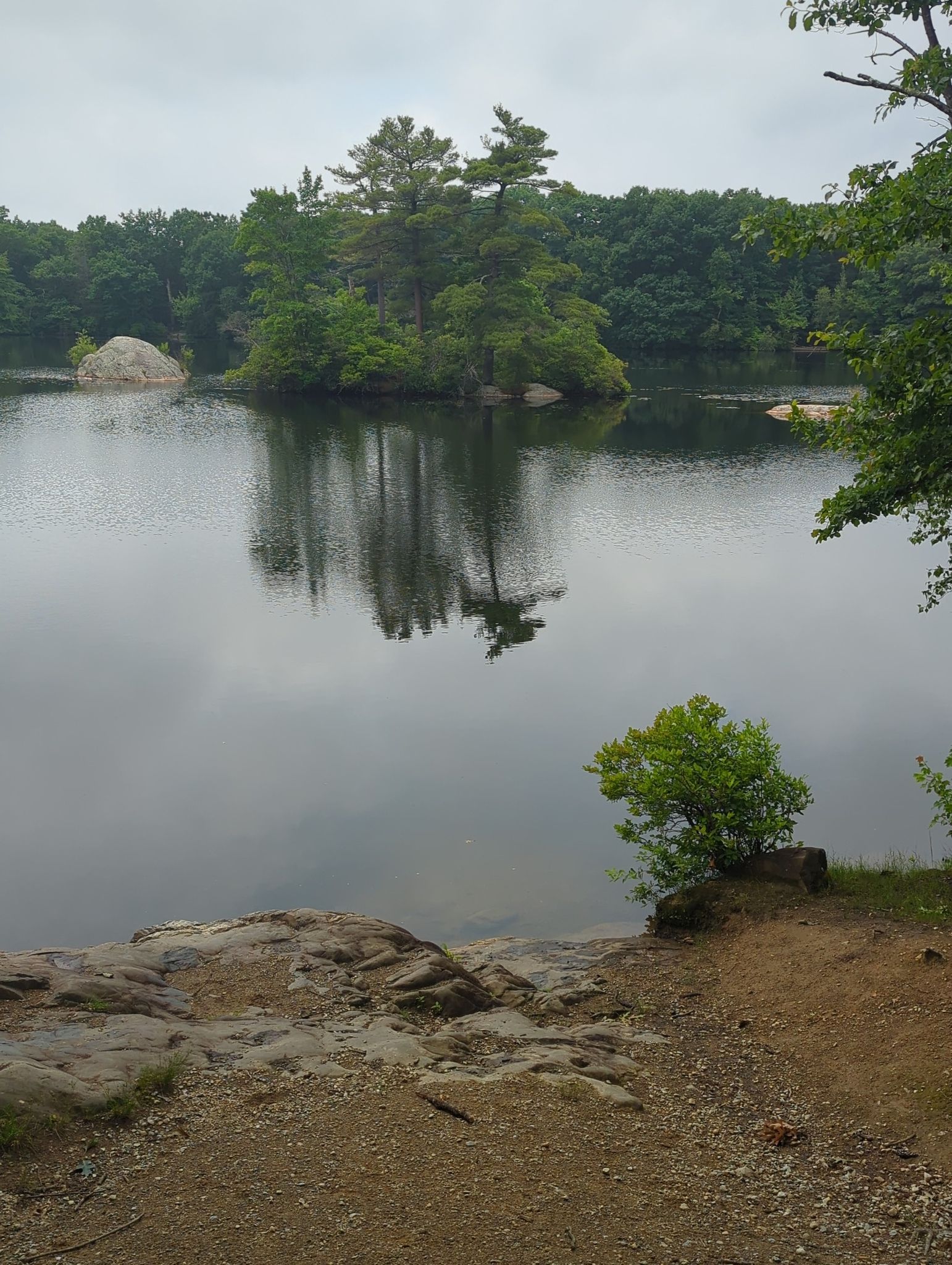 Calm lake with a small tree-covered island reflecting on the water. - Ridge trail loop (short) – Breakheart Reservation