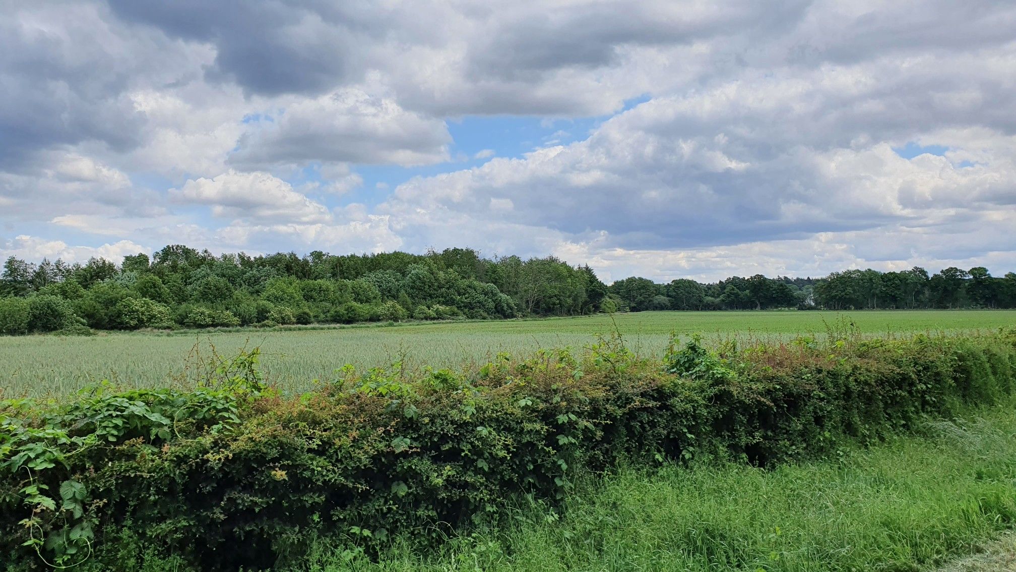 Westerburg
