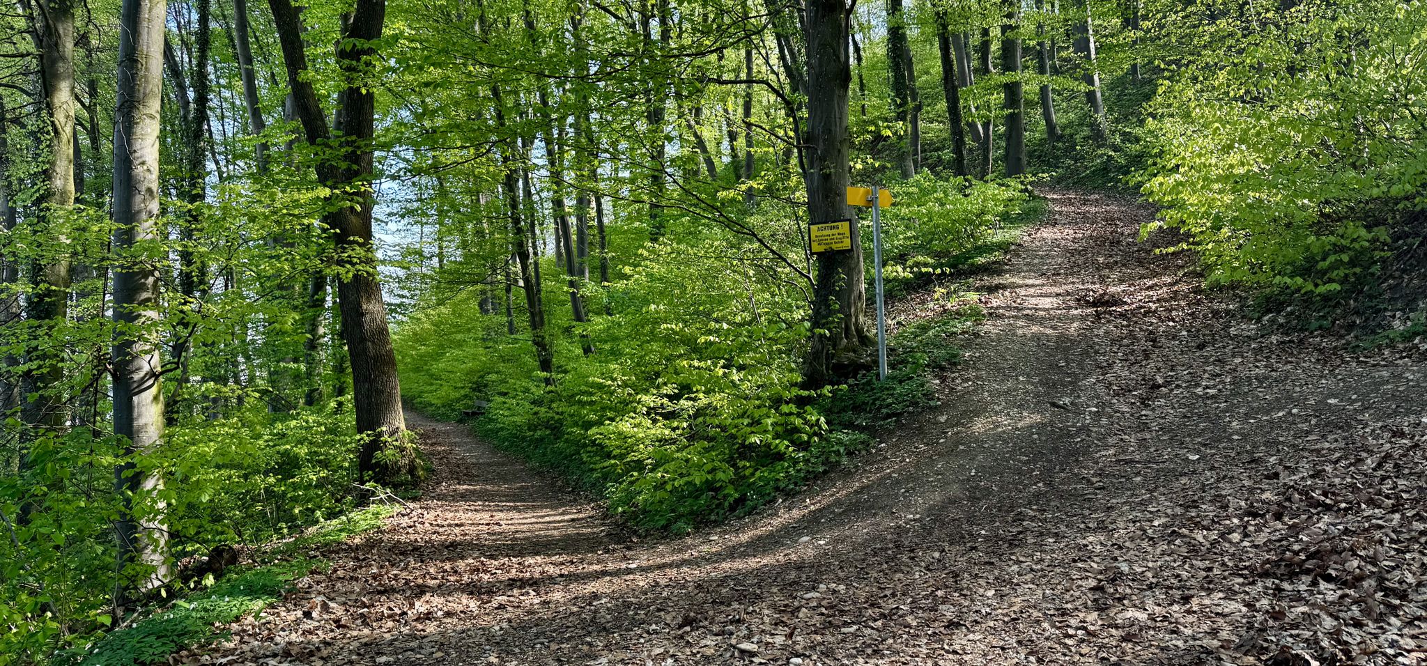 Nach rechts geht's weiter