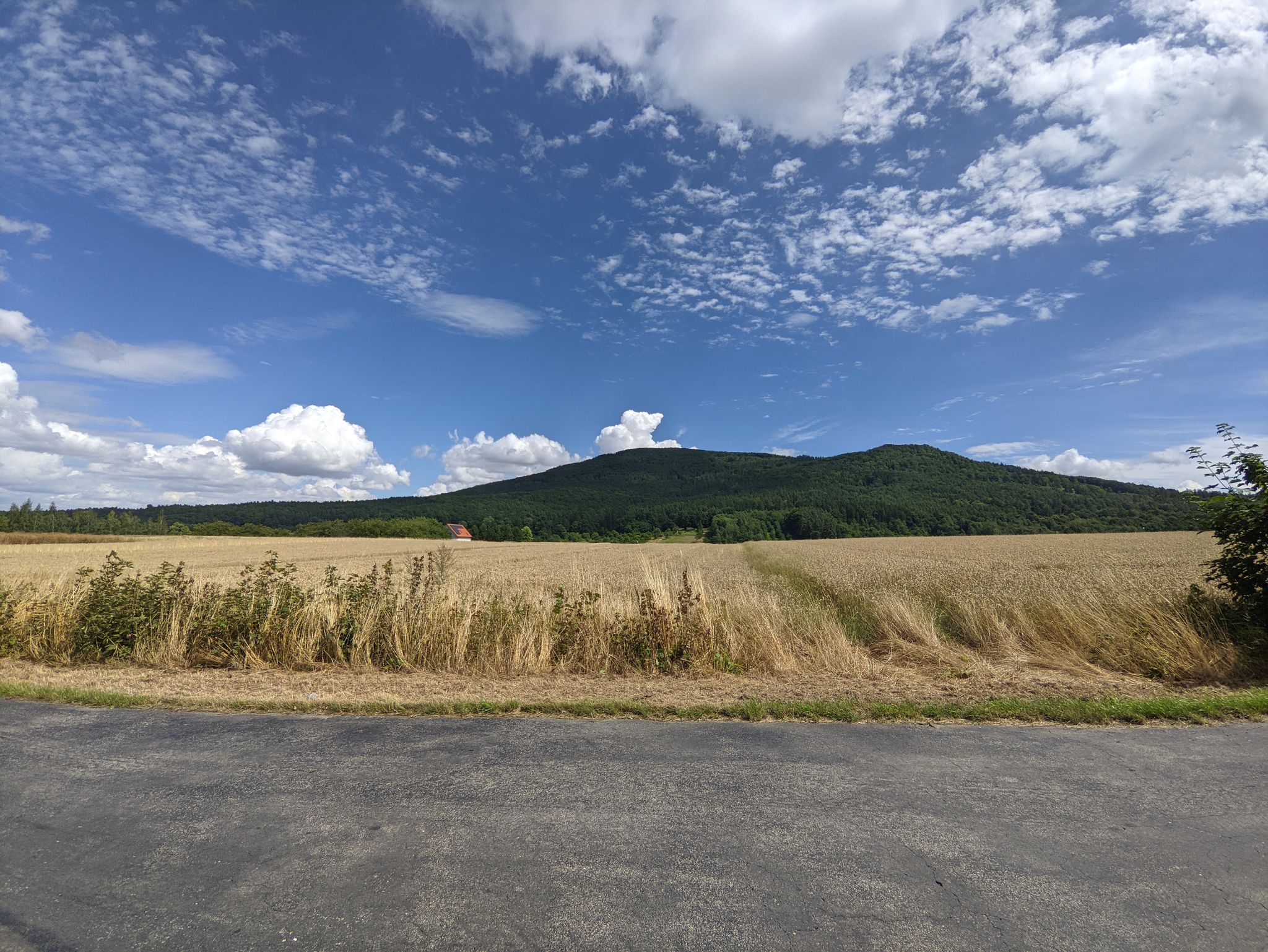 Widok na Ślężę od zachodniej strony.