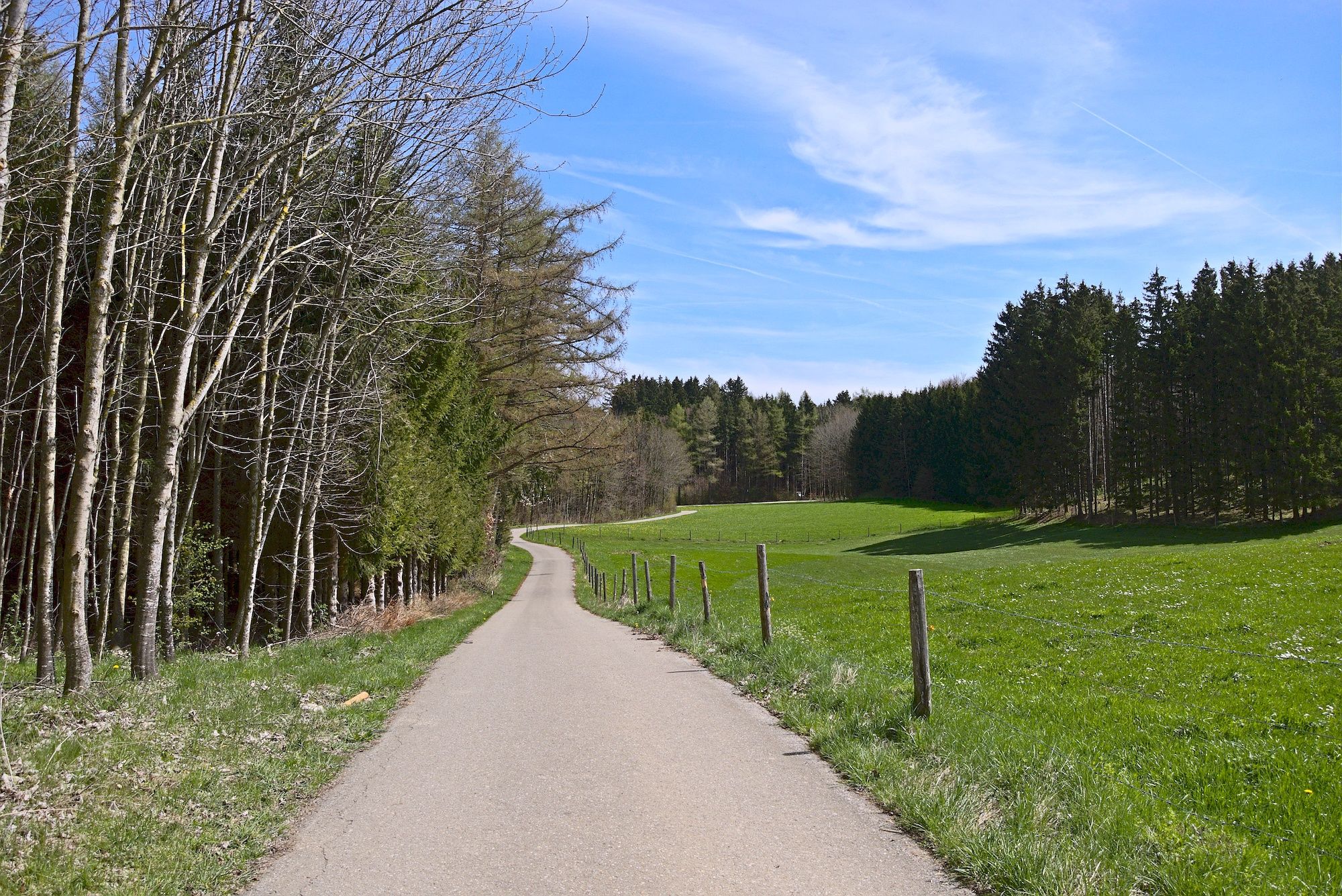 Tolle Streck hinter Thaining