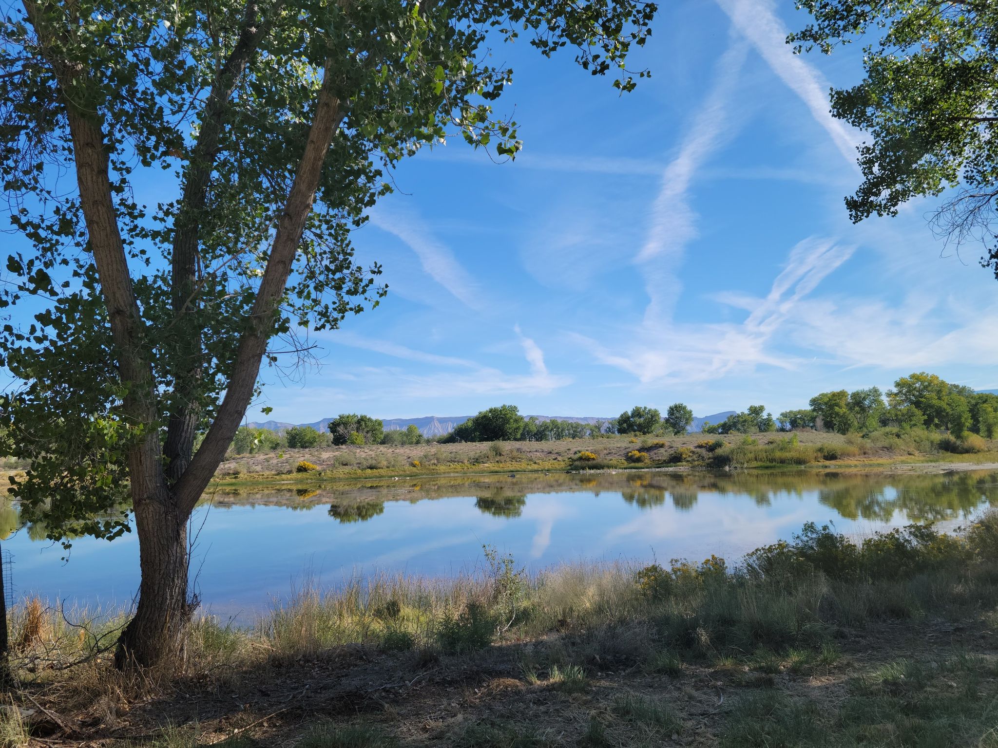 Still lake reflecting a bright blue sky with many contrails and green trees. - Connected Lakes Loop
