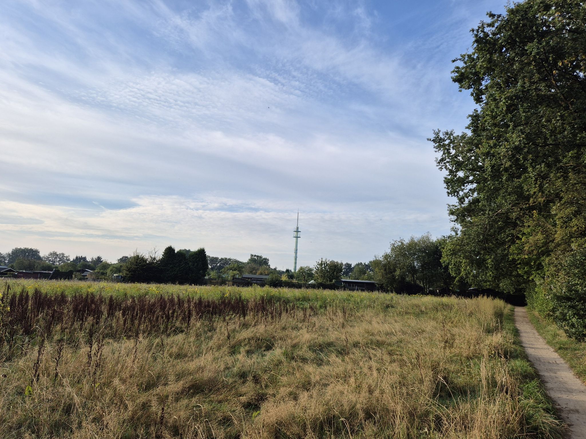 Ausblick über den Kleingartenverein hinweg zum Buchholzer Funkturm!