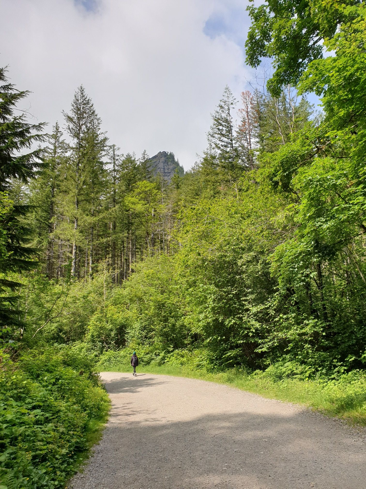 Person walking on a gravel road through a lush green forest. - Rattlesnake Lake – Rattlesnake Lake loop from Wilderness Rim