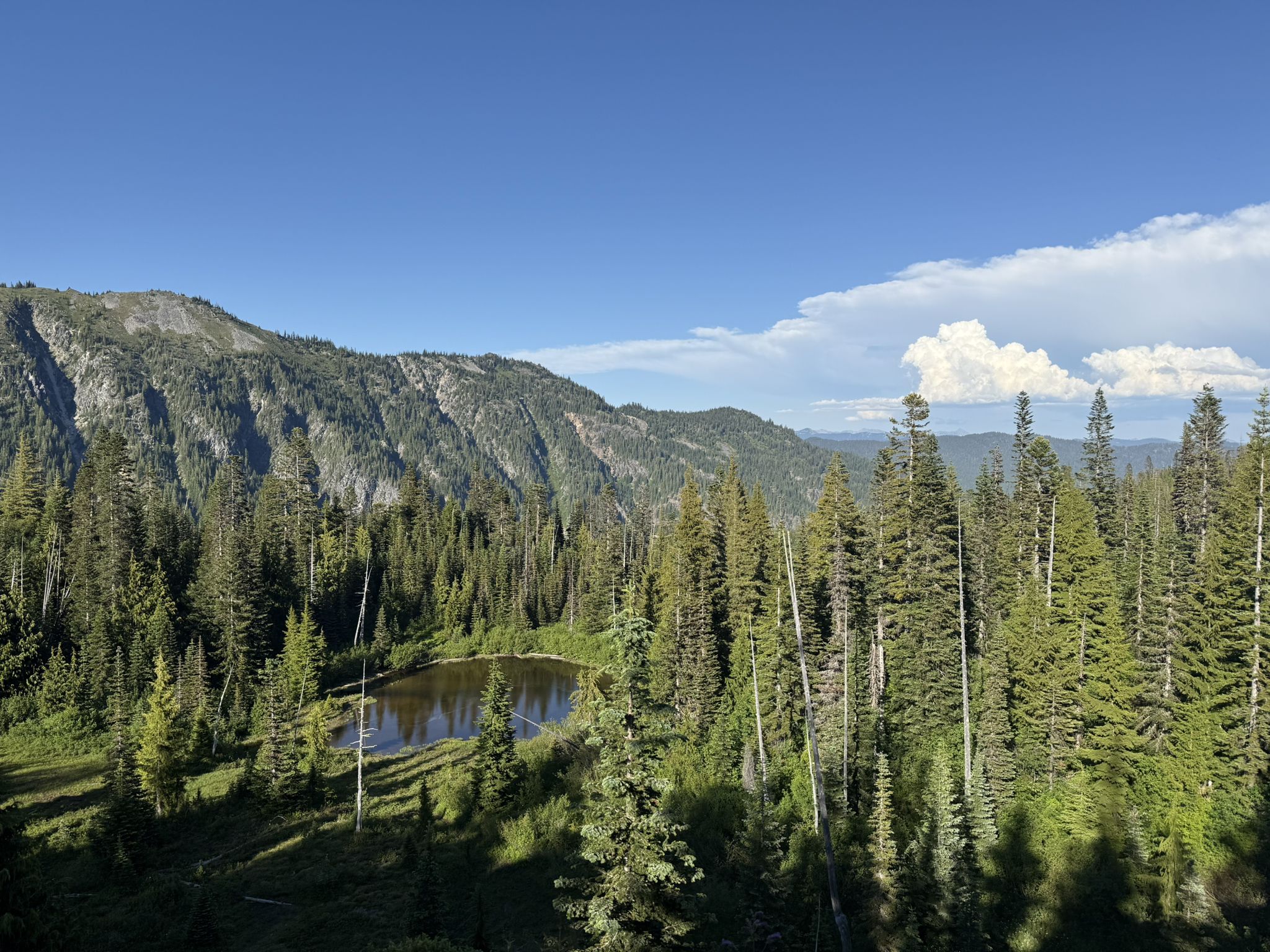 Small mountain lake nestled in a dense evergreen forest under a bright blue sky. - Bench and Snow Lakes Trail