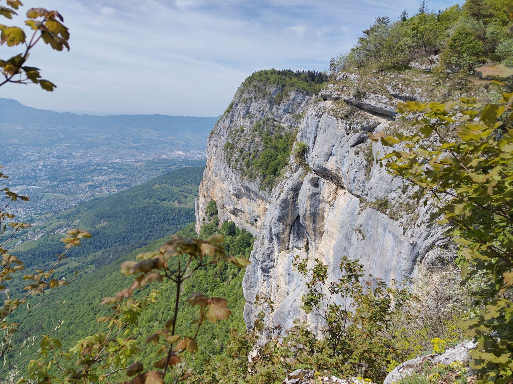 La falaise 