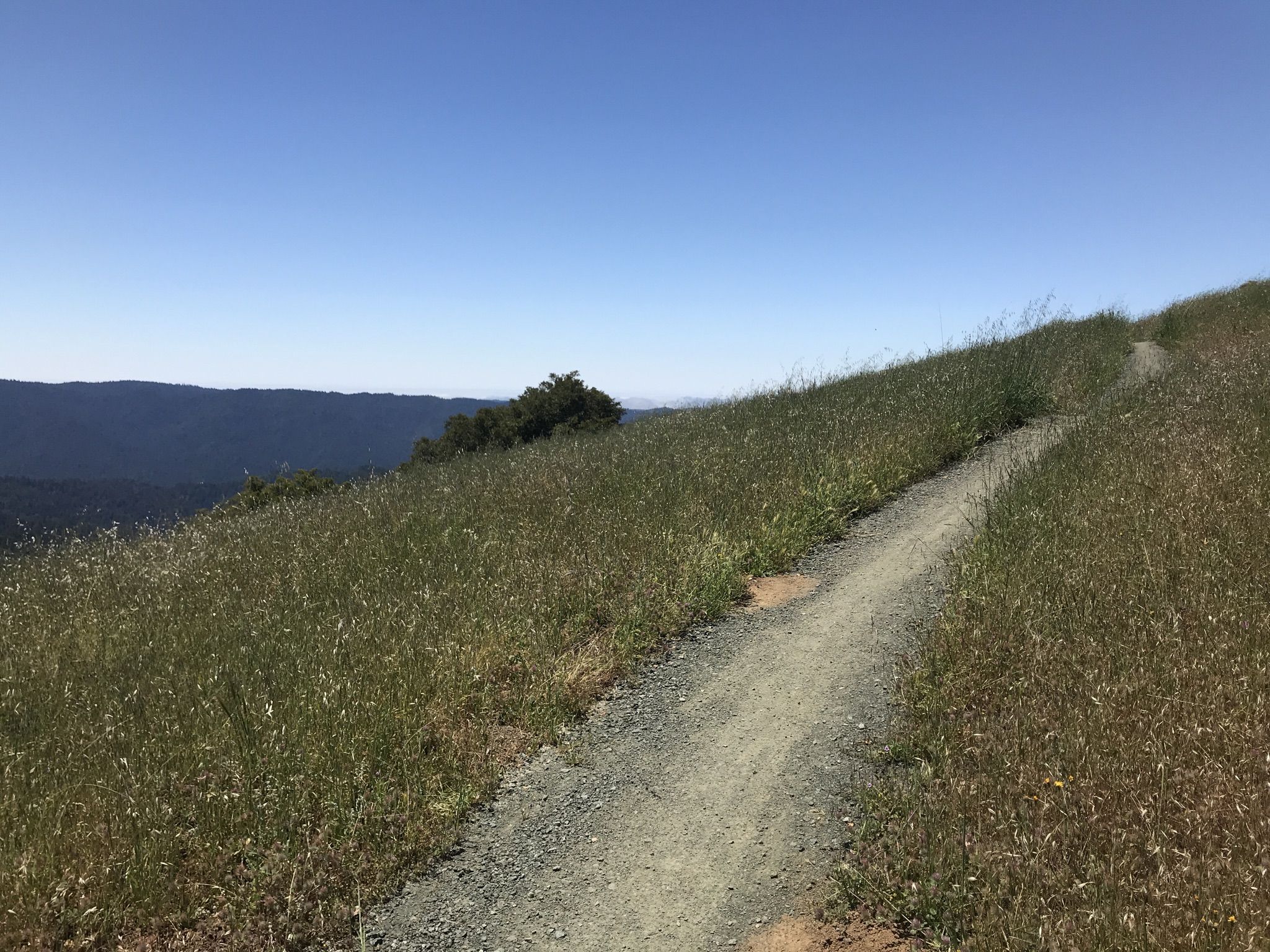Gravel path winding up a green grassy hillside with distant views. - Achistaca Trail to Turtle Rock