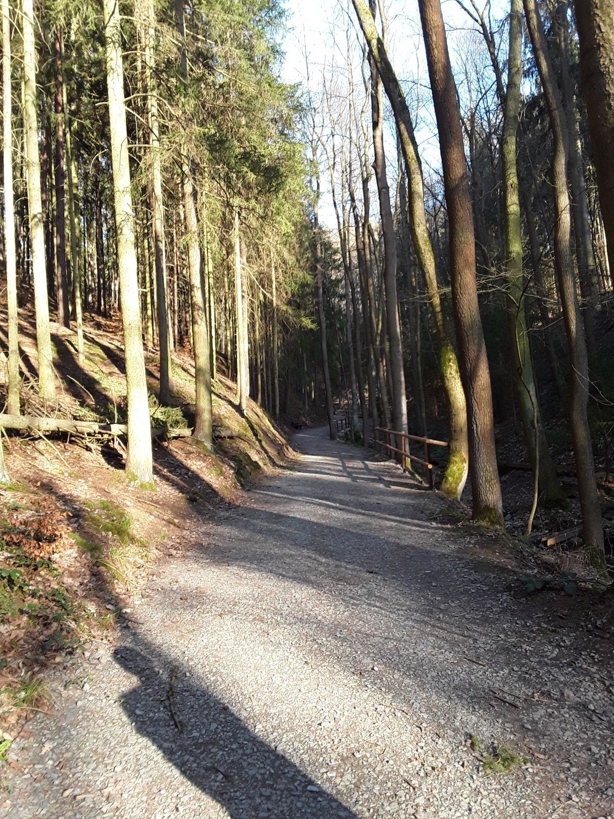 Märchenwald