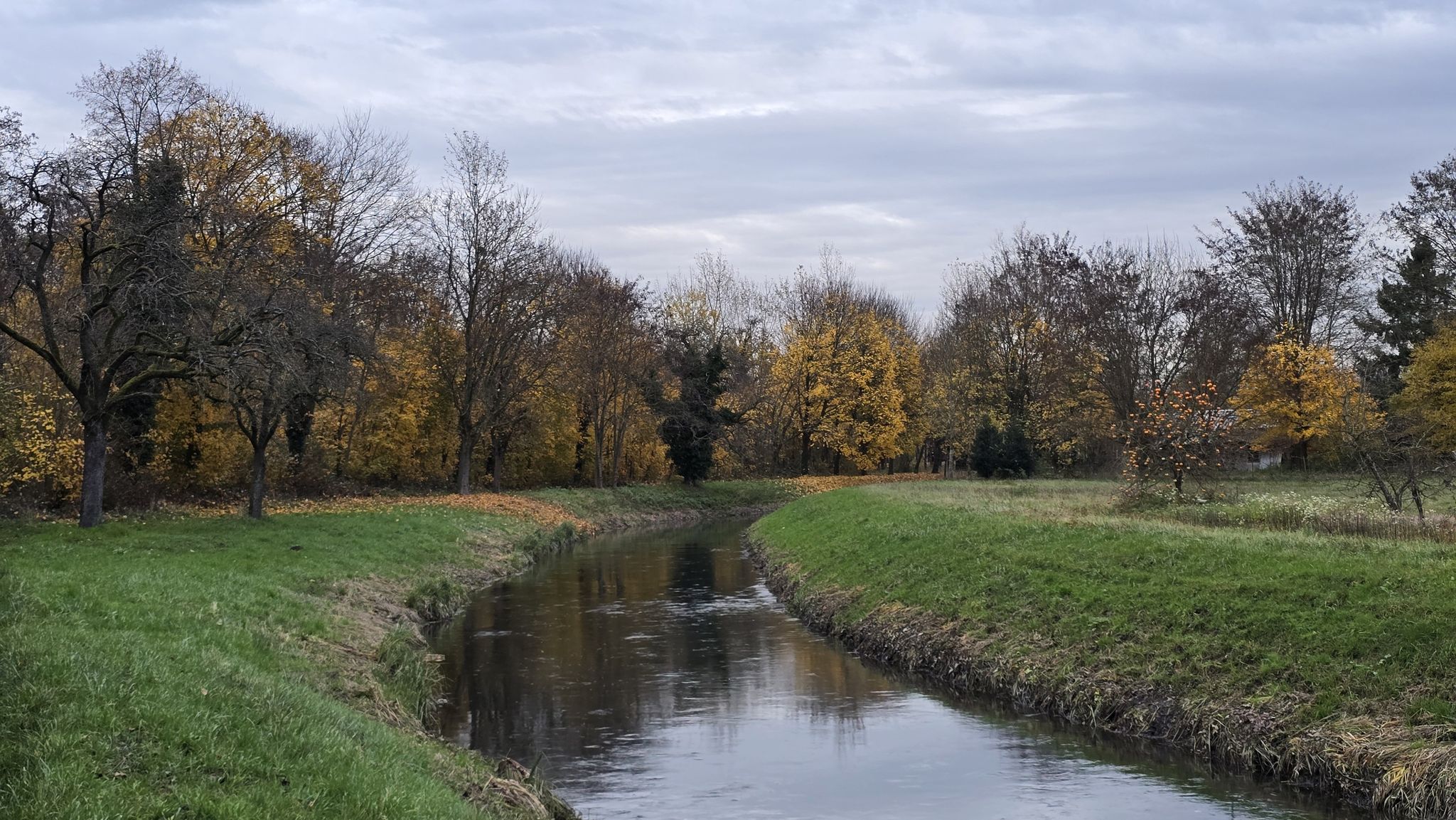 Scheidgraben bei Stollhofen