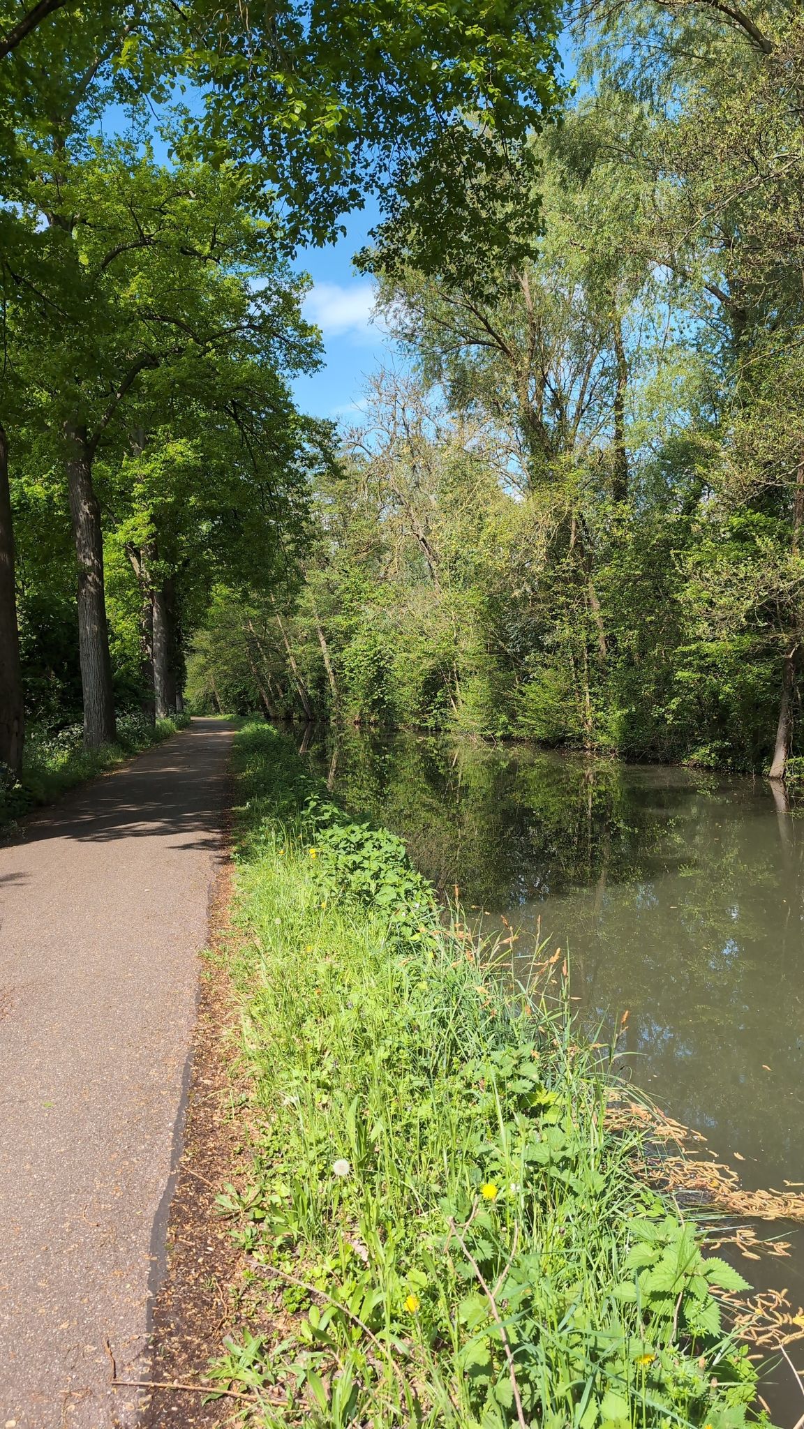 ,am Kanal de la Bruche