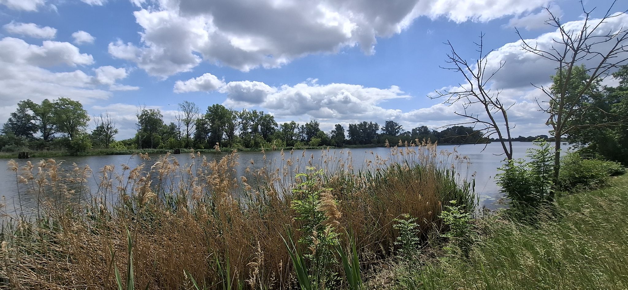 Blick auf die Oder