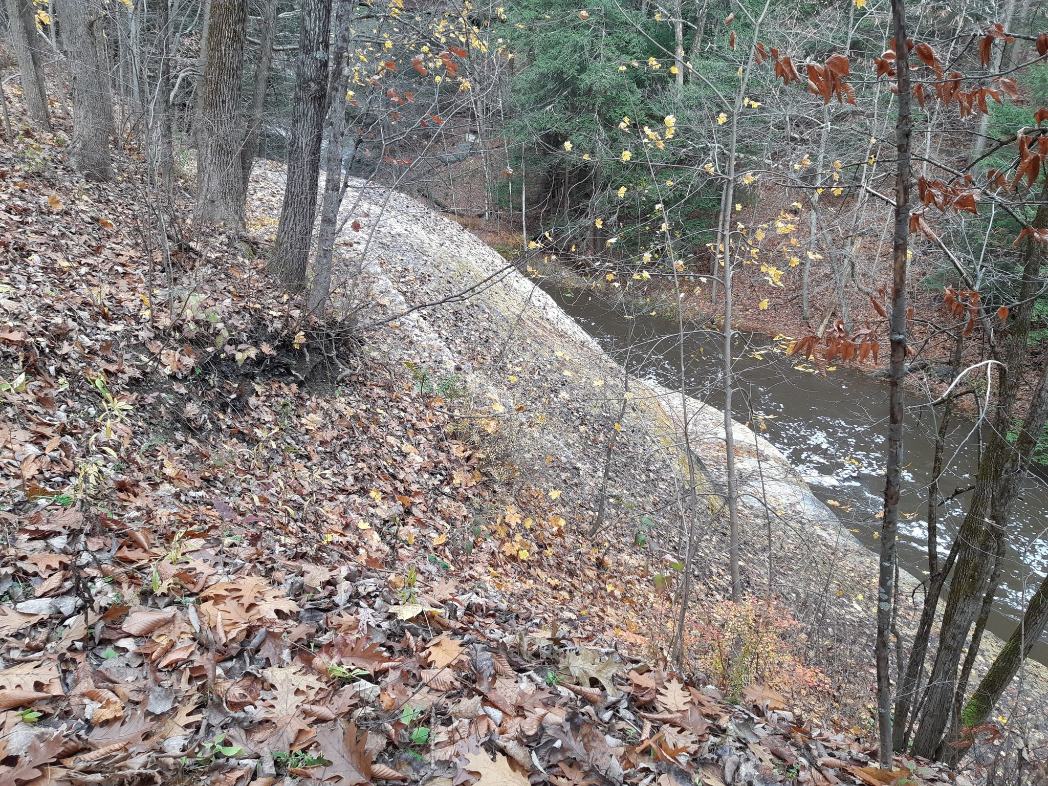 Steep, leaf-covered hillside overlooking a river and a white rock formation. - Orenda Spring – The Geyser Island Spouter loop from Saratoga Race Course