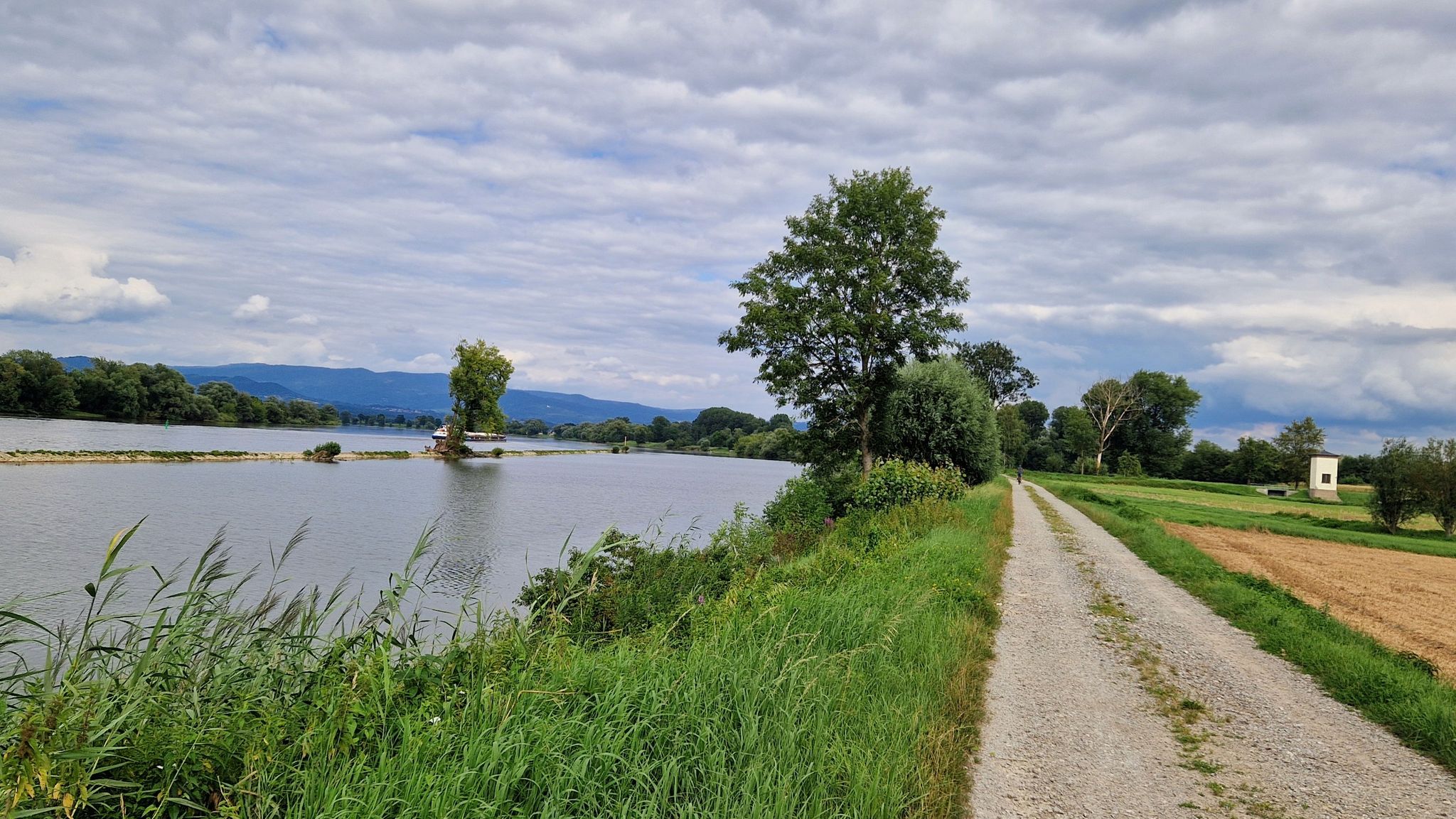 Ein kurzes Stück konnten wir an der Donau entlang fahren.