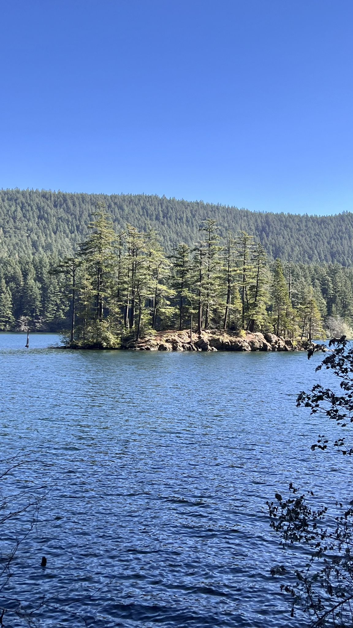 Small tree-covered island in a blue lake with forested hills under clear sky. - Mountain Lake Loop Trail