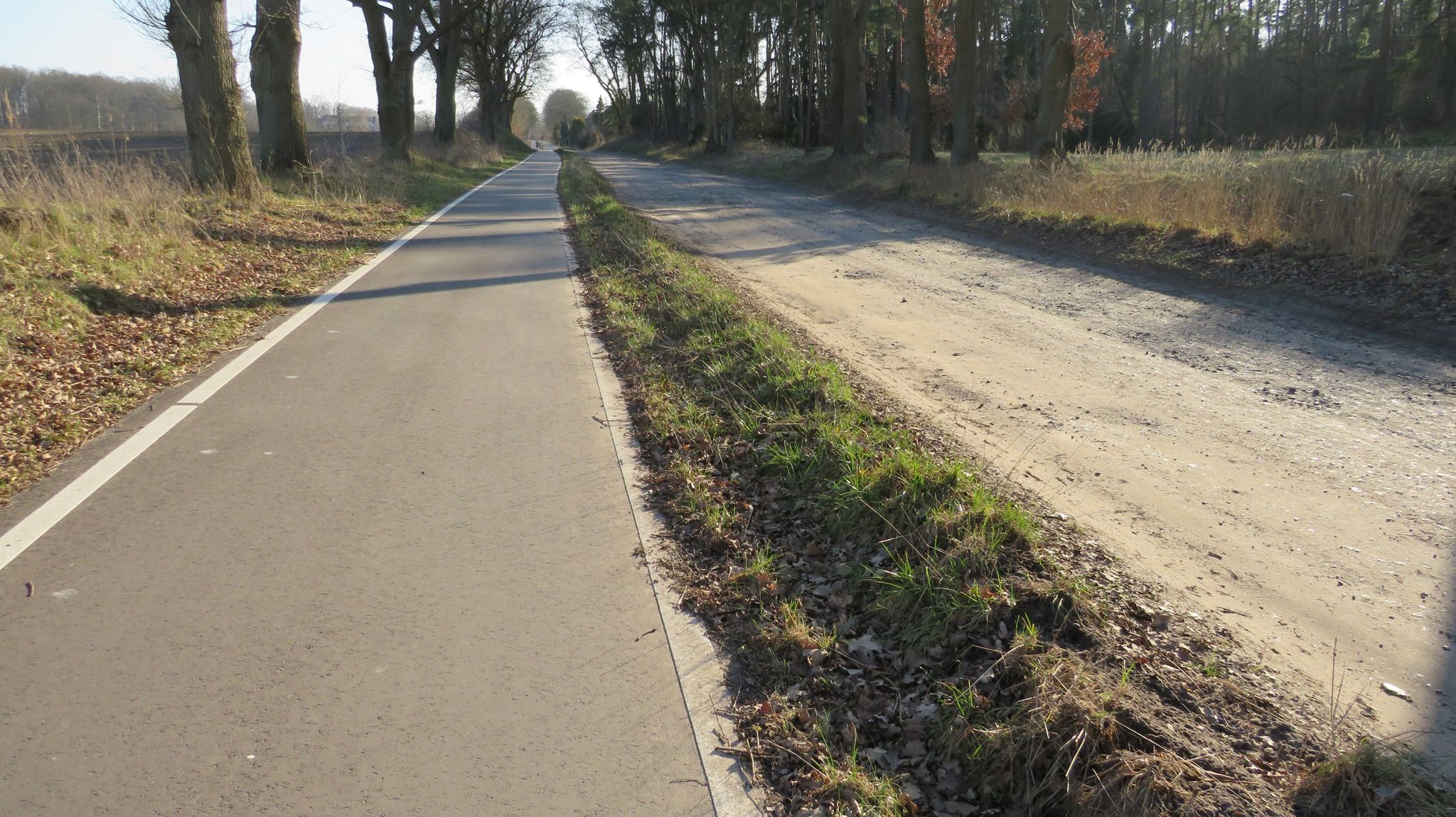 Endlich mal richtig herum: die Straße ist eine Buckelpiste und der Radweg ist top (zwischen Vögelsen und Reppenstedt)