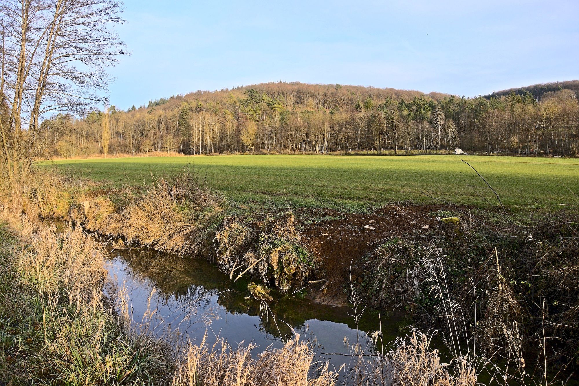Am Welzbach