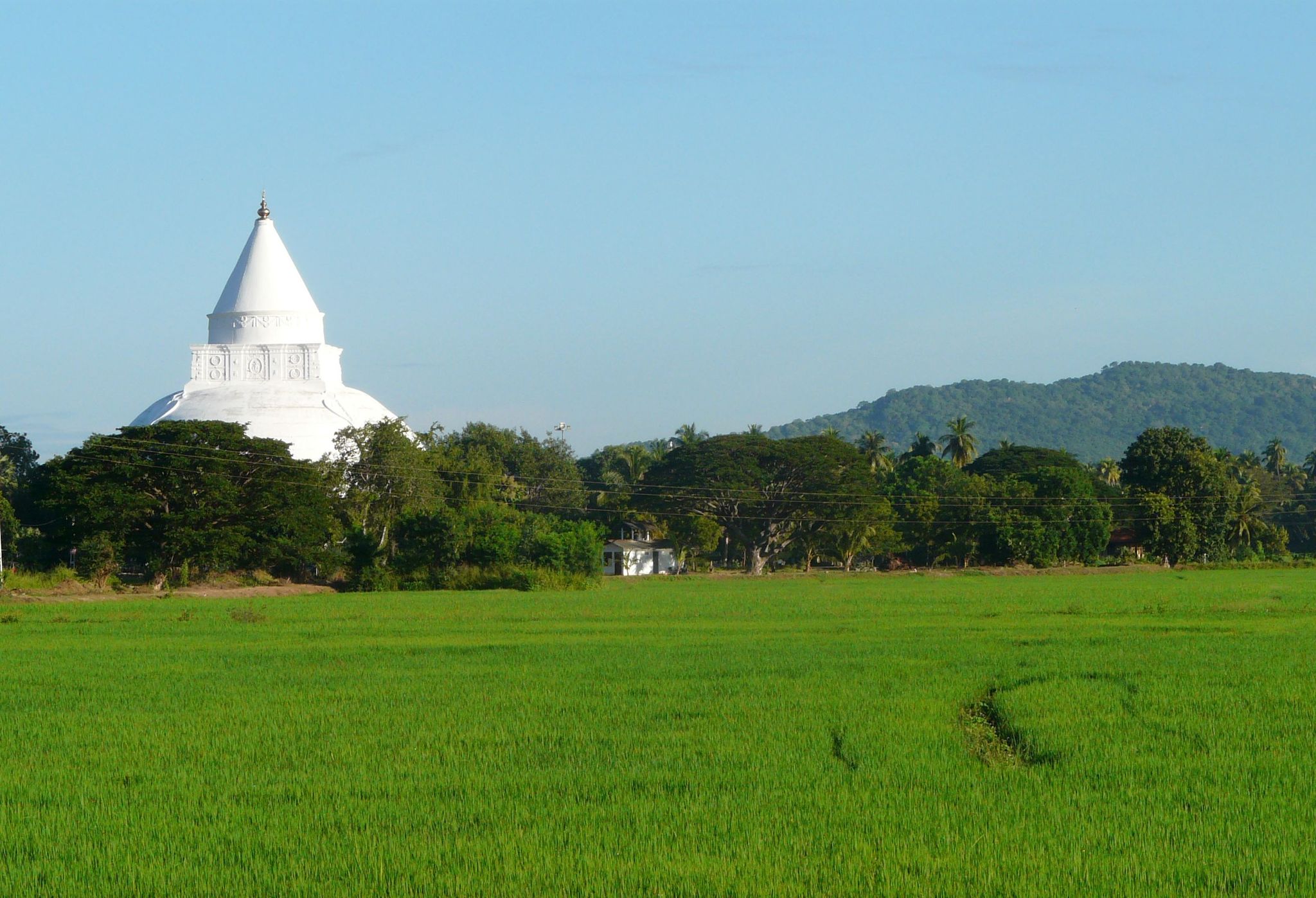 Stupa im Reisfeld