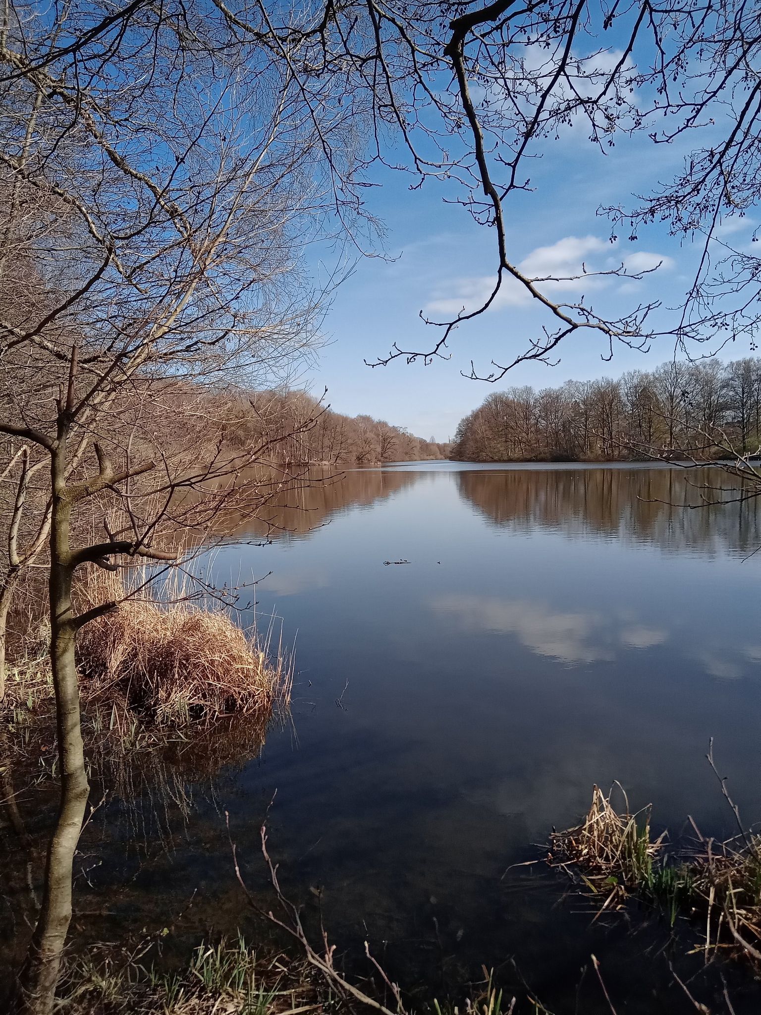 Bramfelder See