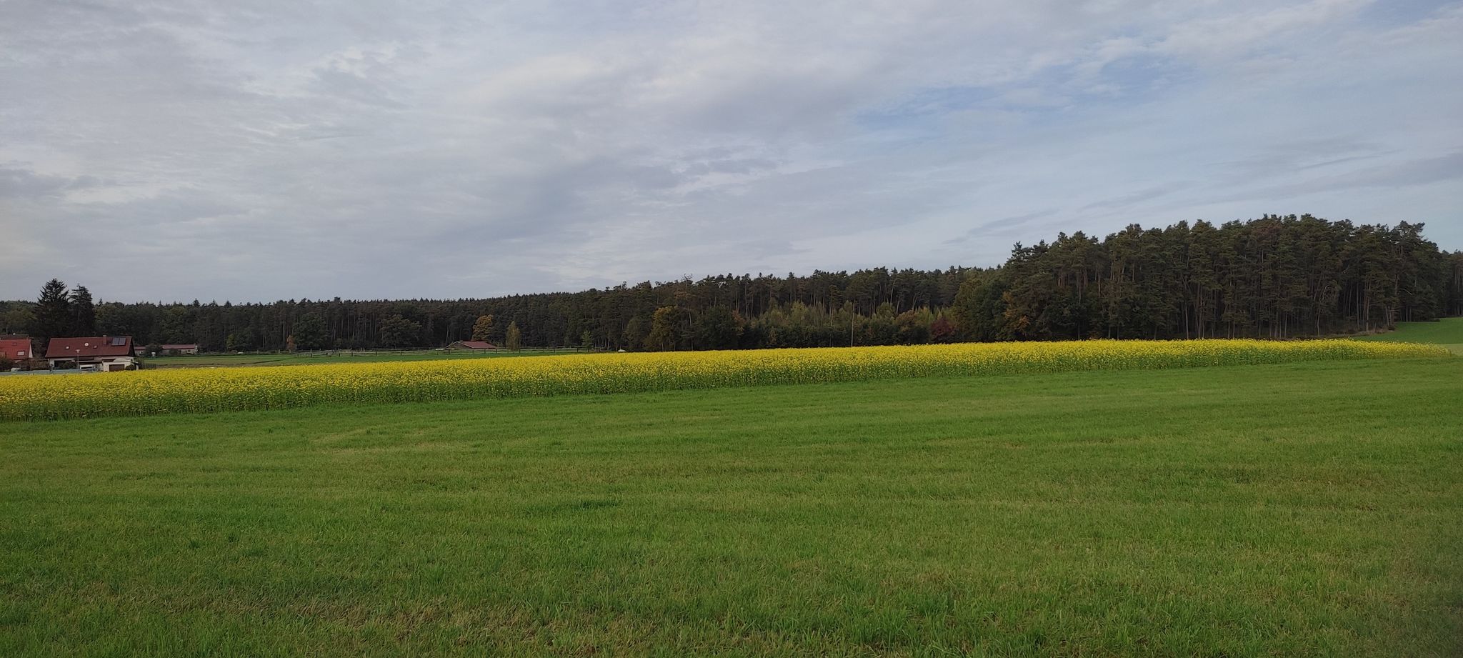 Ausblick bei Kühedorf
