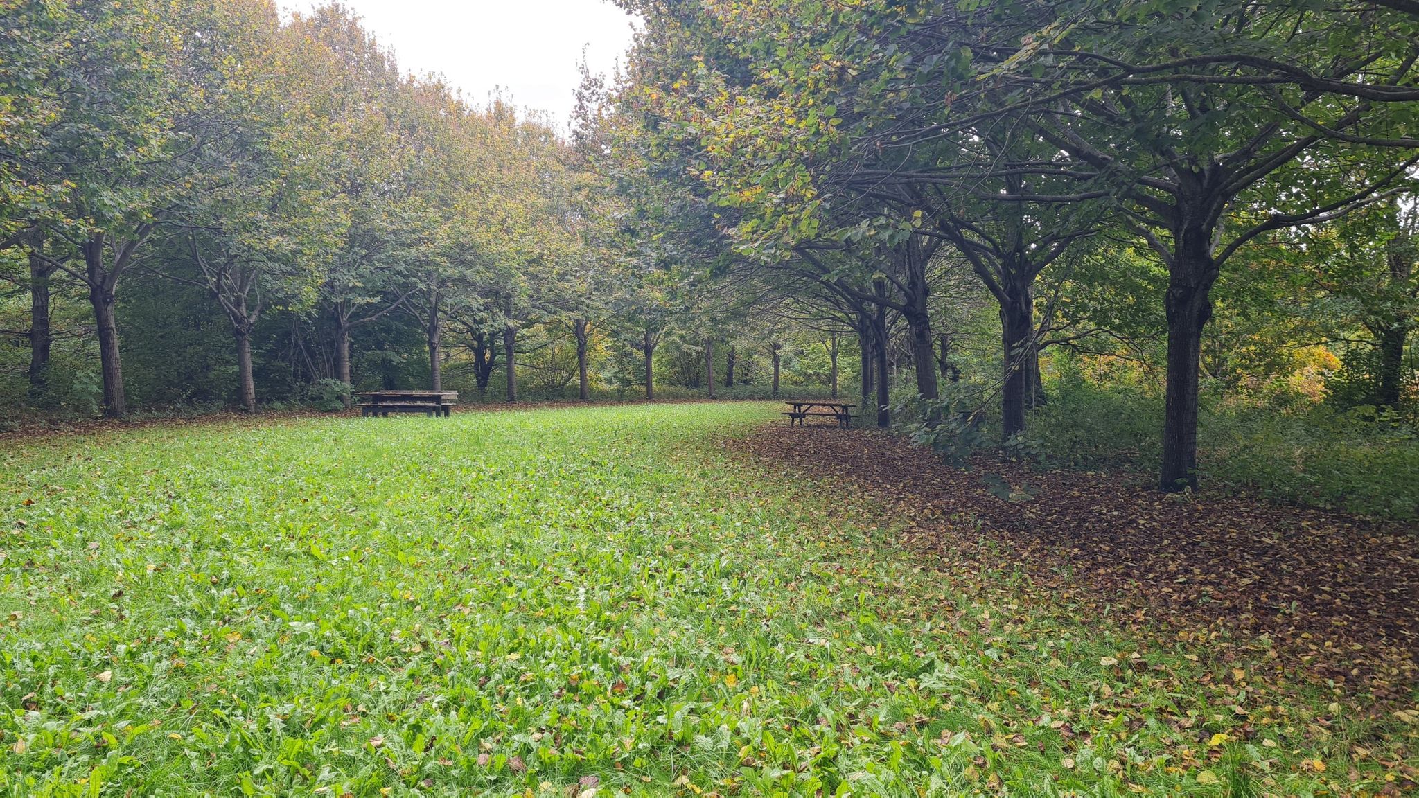 Sitzmöglichkeit