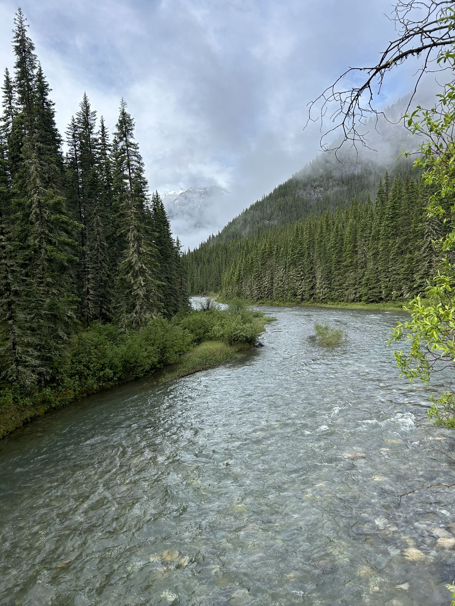 Spray River