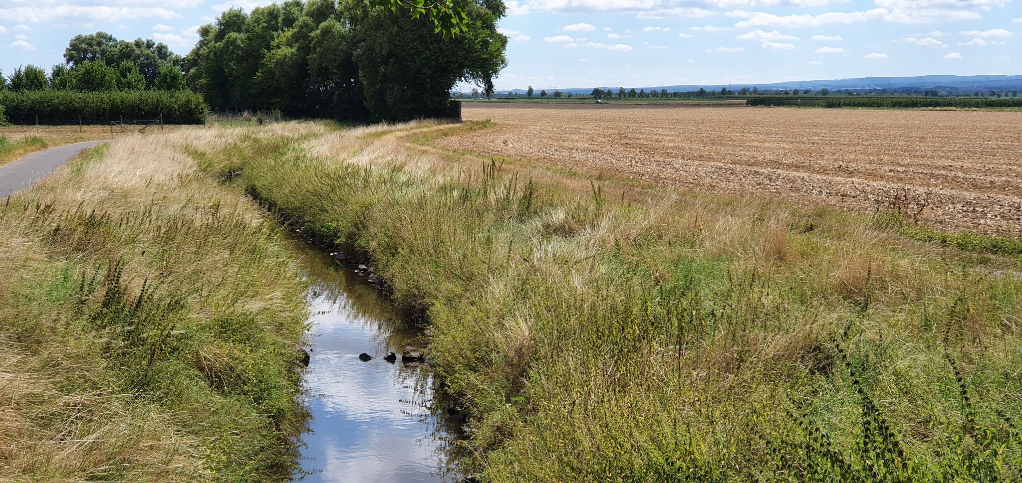 Die Swist, gut 1 Jahr nach der Flut