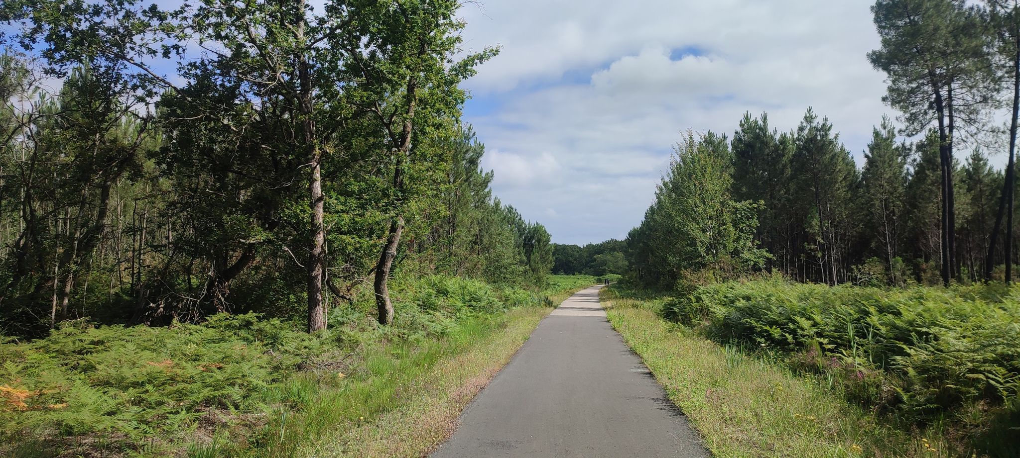 Bahntrassenradweg EV3, D802 nach Langon