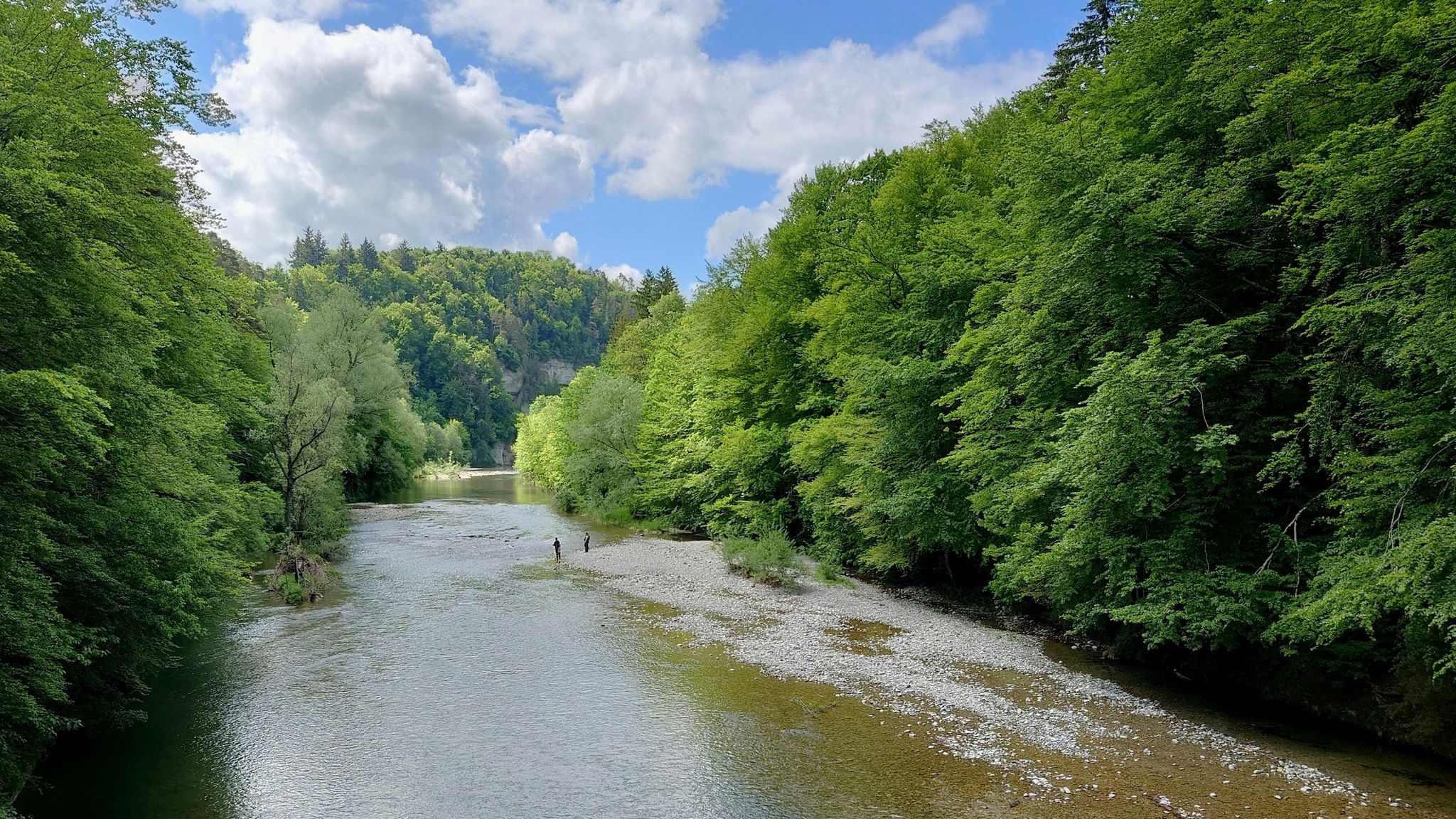 Fischer sah ich auf der ganzen Wanderung immer wieder.