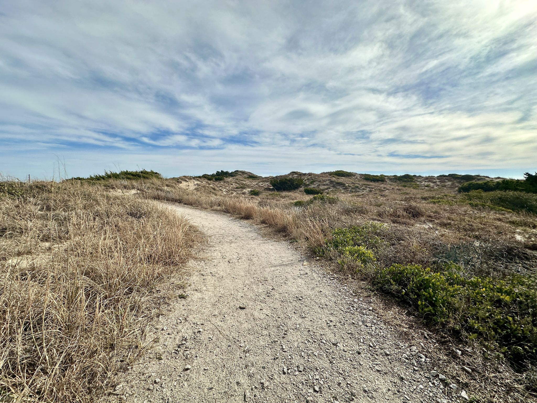 A winding dirt path through sunny, grassy dunes under a cloudy sky. - Elliott Coues Nature Trail