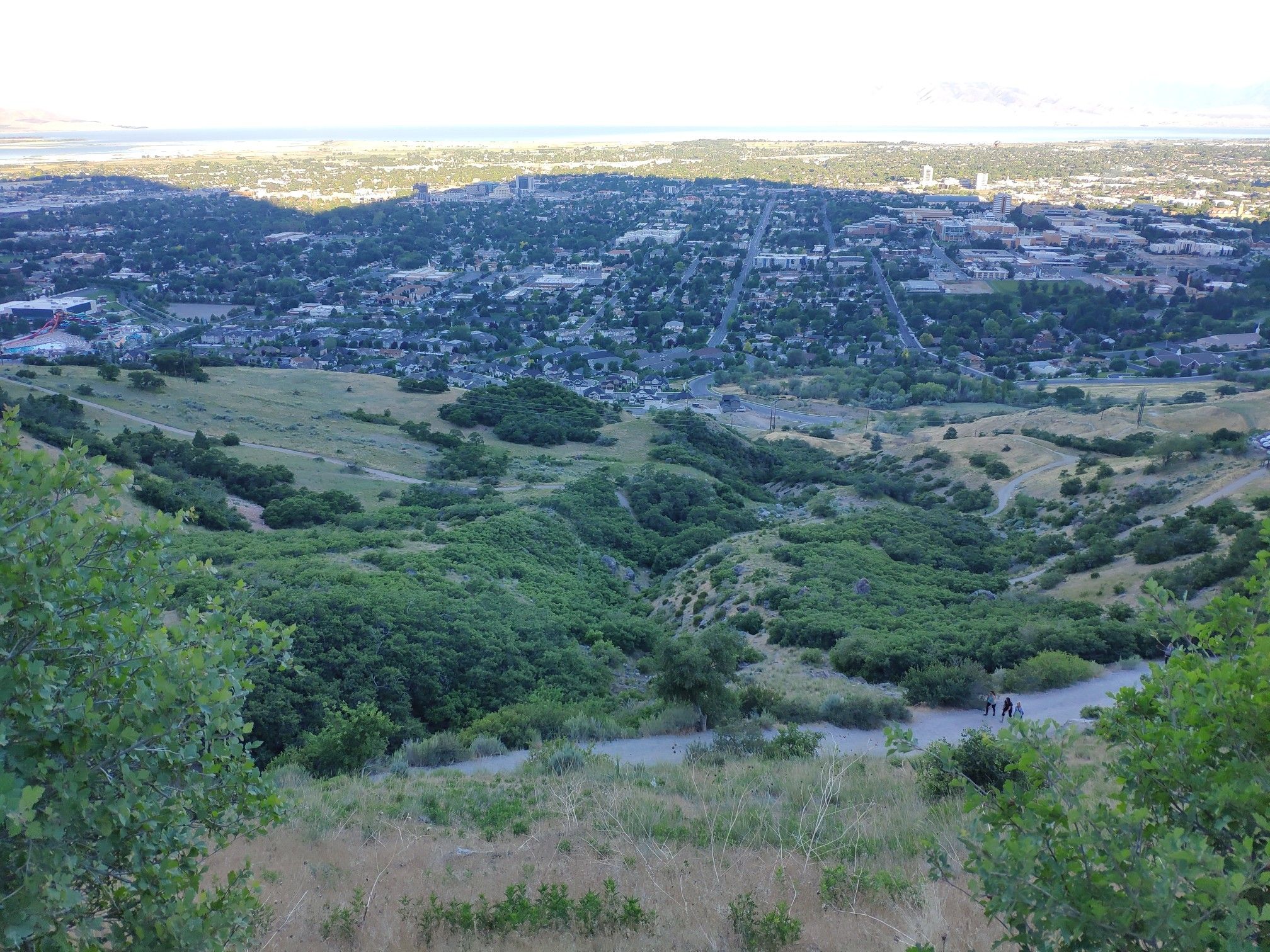 Overlook of a sprawling city and distant water from a green hillside. - Y Trail