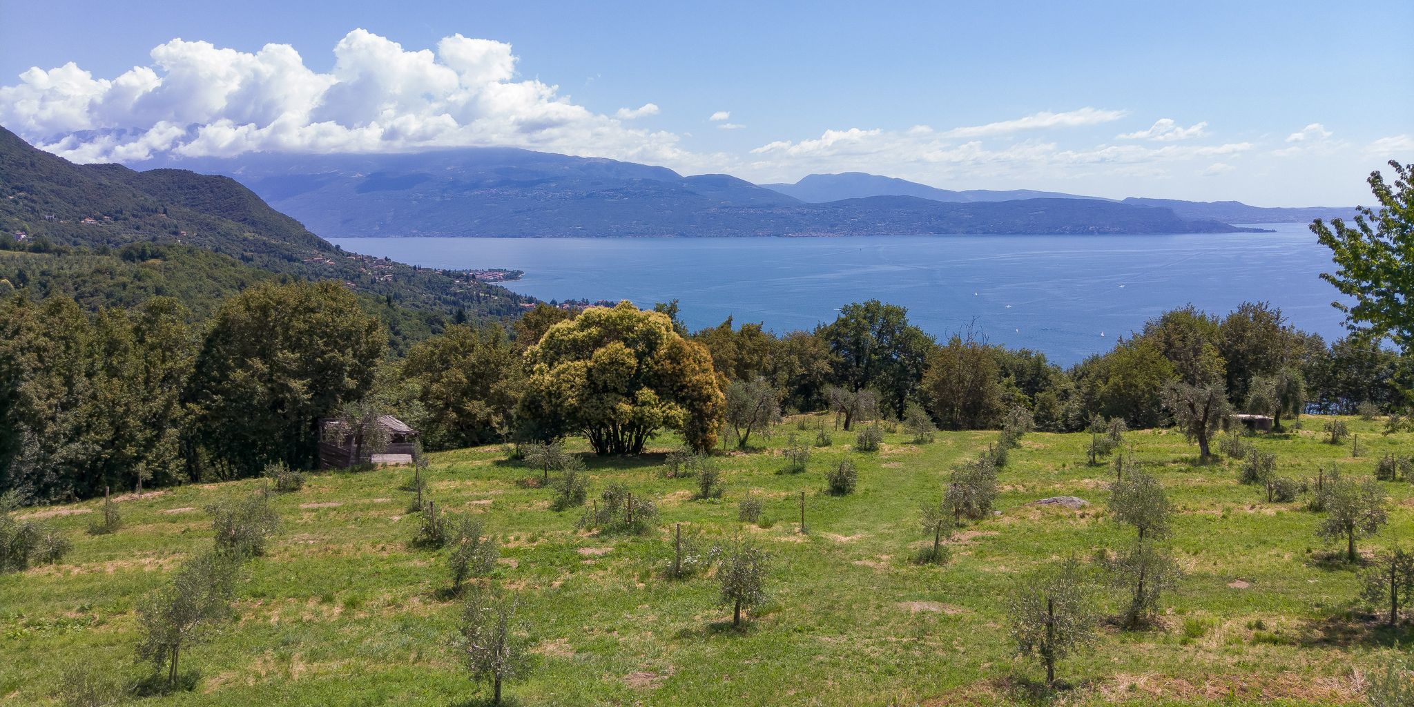 Gaino, Gargnano