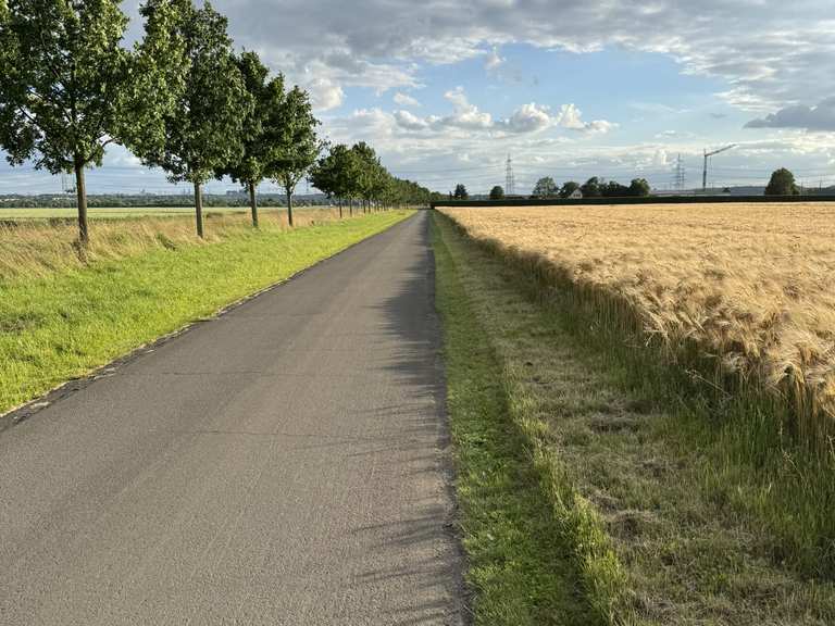 Die alten Knochen funktionieren noch 😅 | Gravel-Tour | Komoot