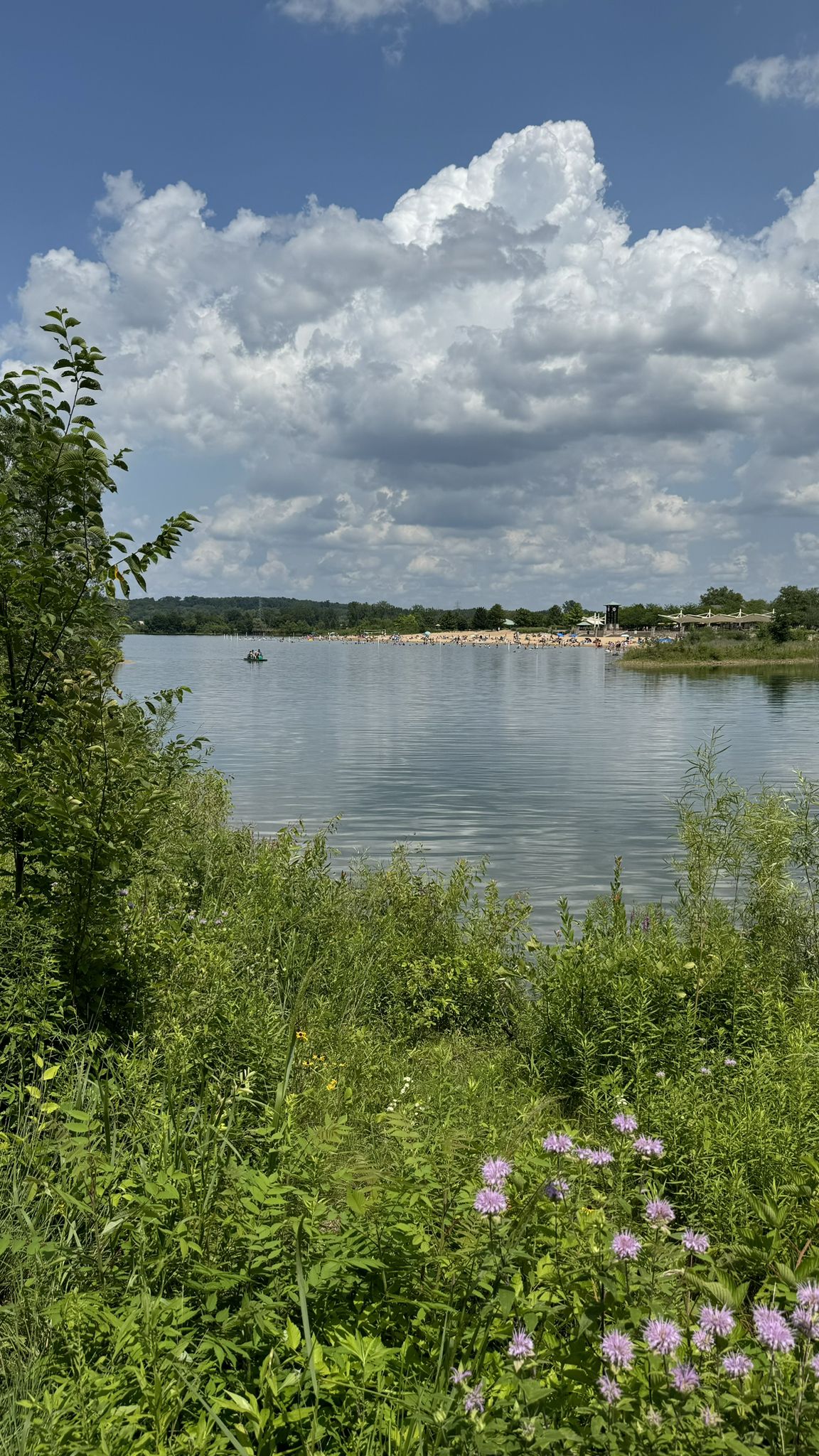 Lush green foliage frames a lake with distant people and a boat under cloudy skies. - Lake Leota and Millennium Park Lake Loop