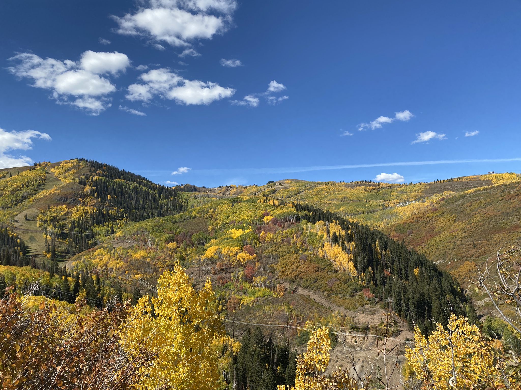 Vast mountain landscape with vibrant fall foliage under a bright blue sky. - Ontario Ridge Trail