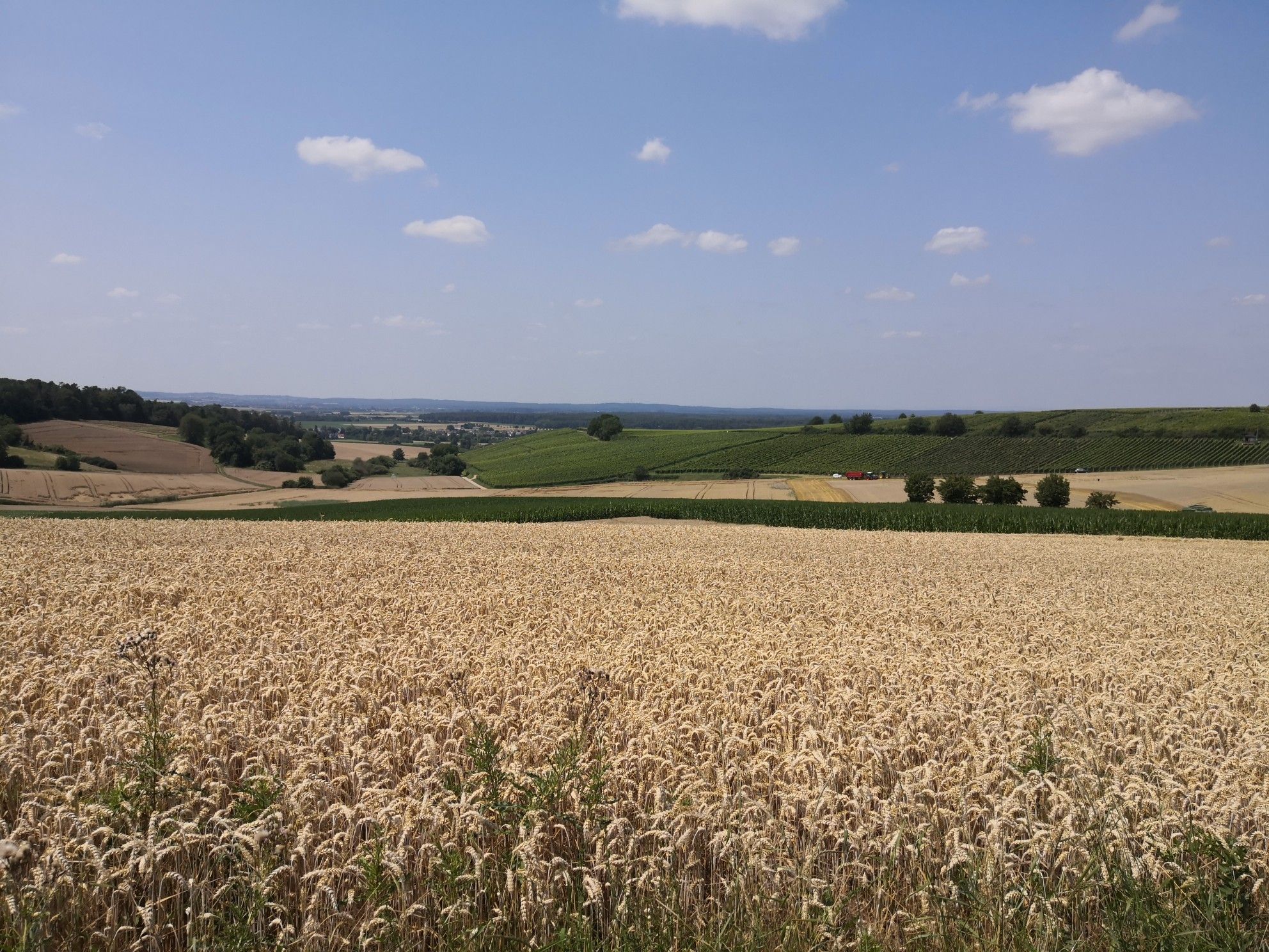 schöner Ausblick bei Radheim