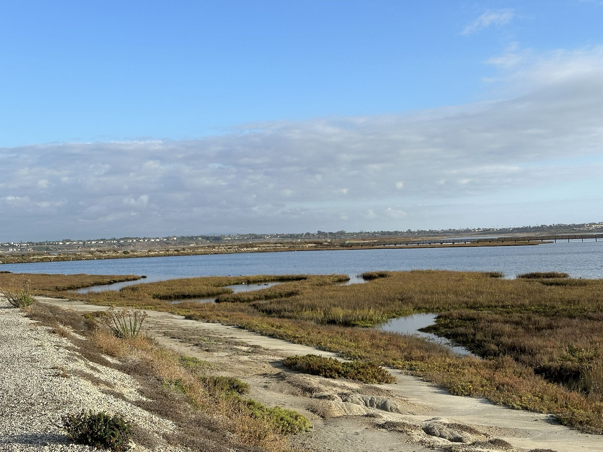 Wide view of a marsh with water, green and brown vegetation under an overcast sky. - Bolsa Chica Ecological Reserve loop