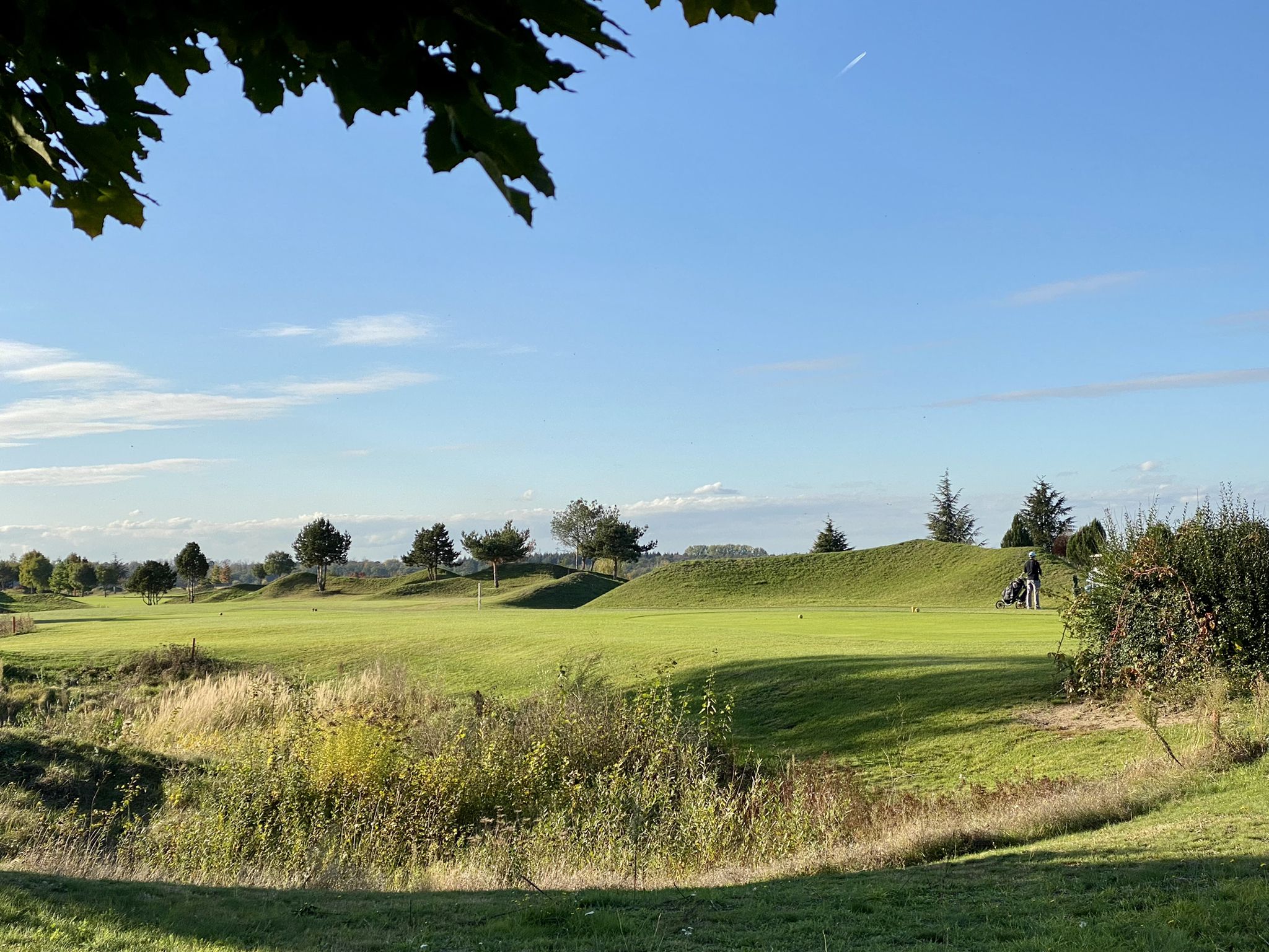 Finde Golfspielen irgendwie affig 😅. Aber immerhin haben‘s die schön und sind an der frischen Luft.