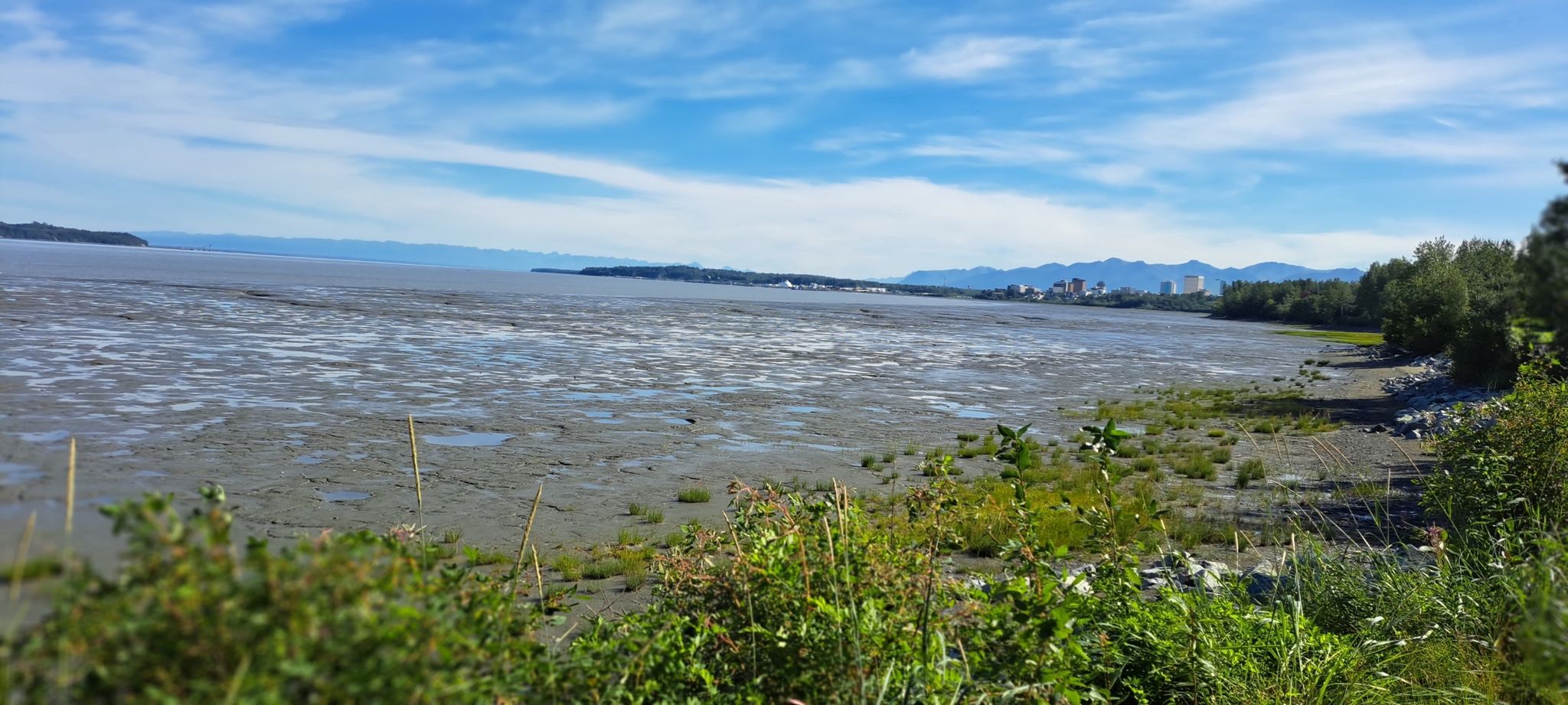 Vast muddy tidal flat extending to a distant shoreline with mountains. - Tony Knowles Coastal Trail