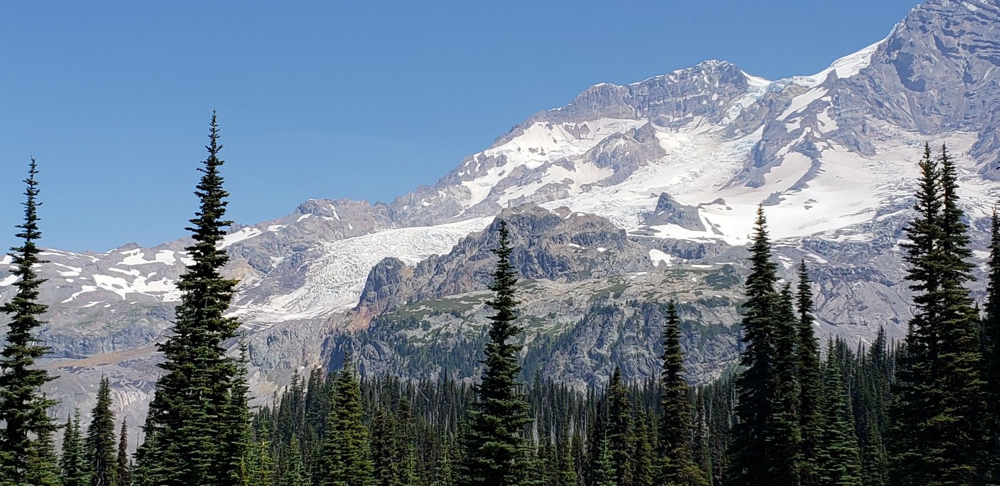 Majestic snow-capped mountains rise above a dense evergreen forest on a clear day. - Indian Henry's Hunting Ground via Kautz Creek