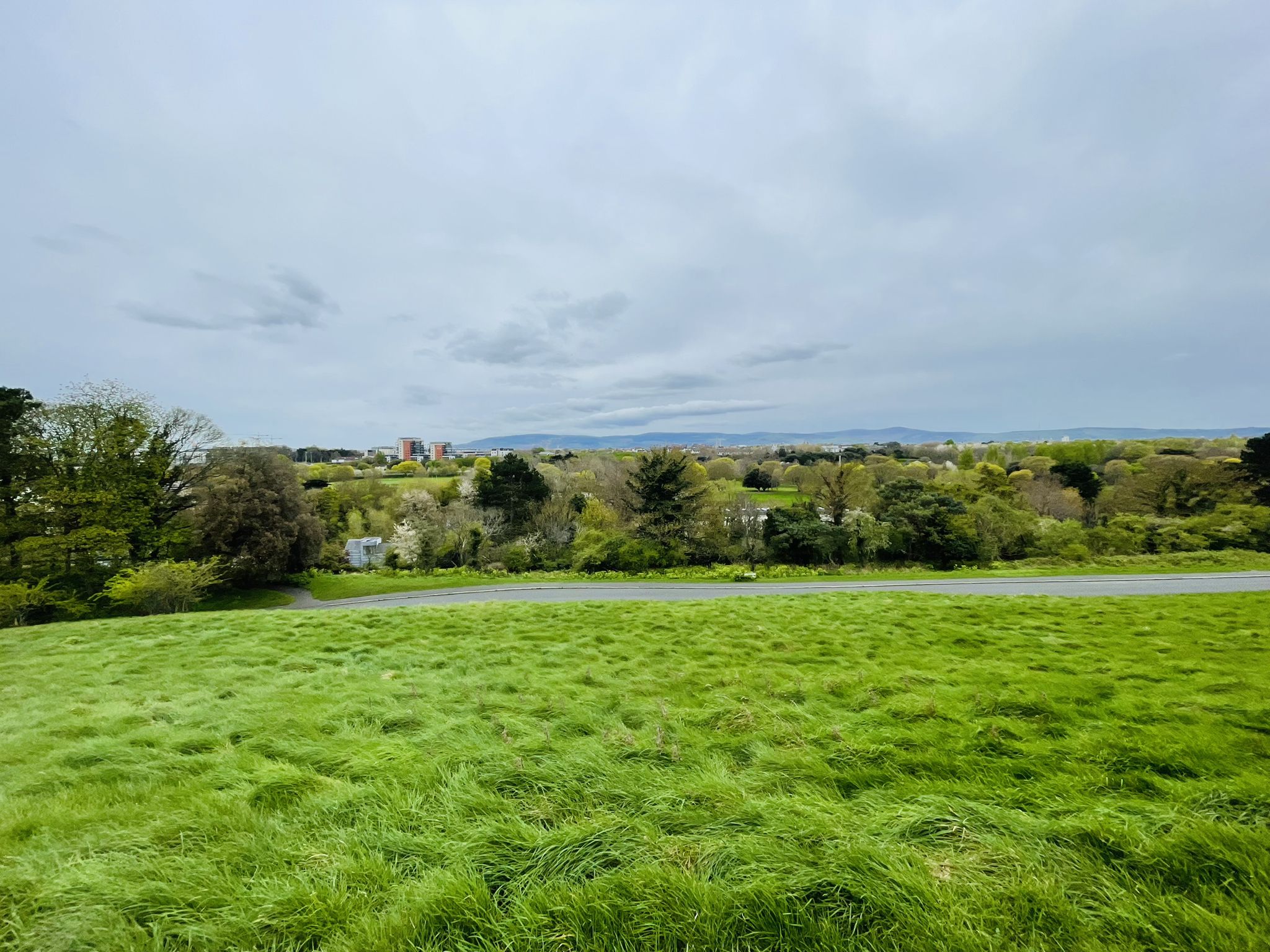 Phoenix Park