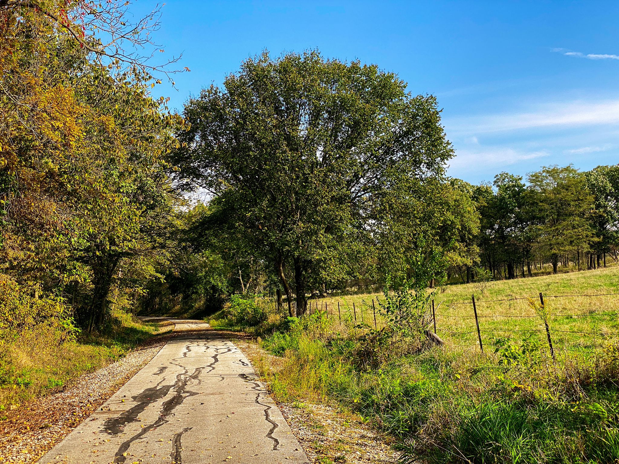 Cracked paved path alongside a green field with large trees under a blue sky. - Bike loop from Indianola
