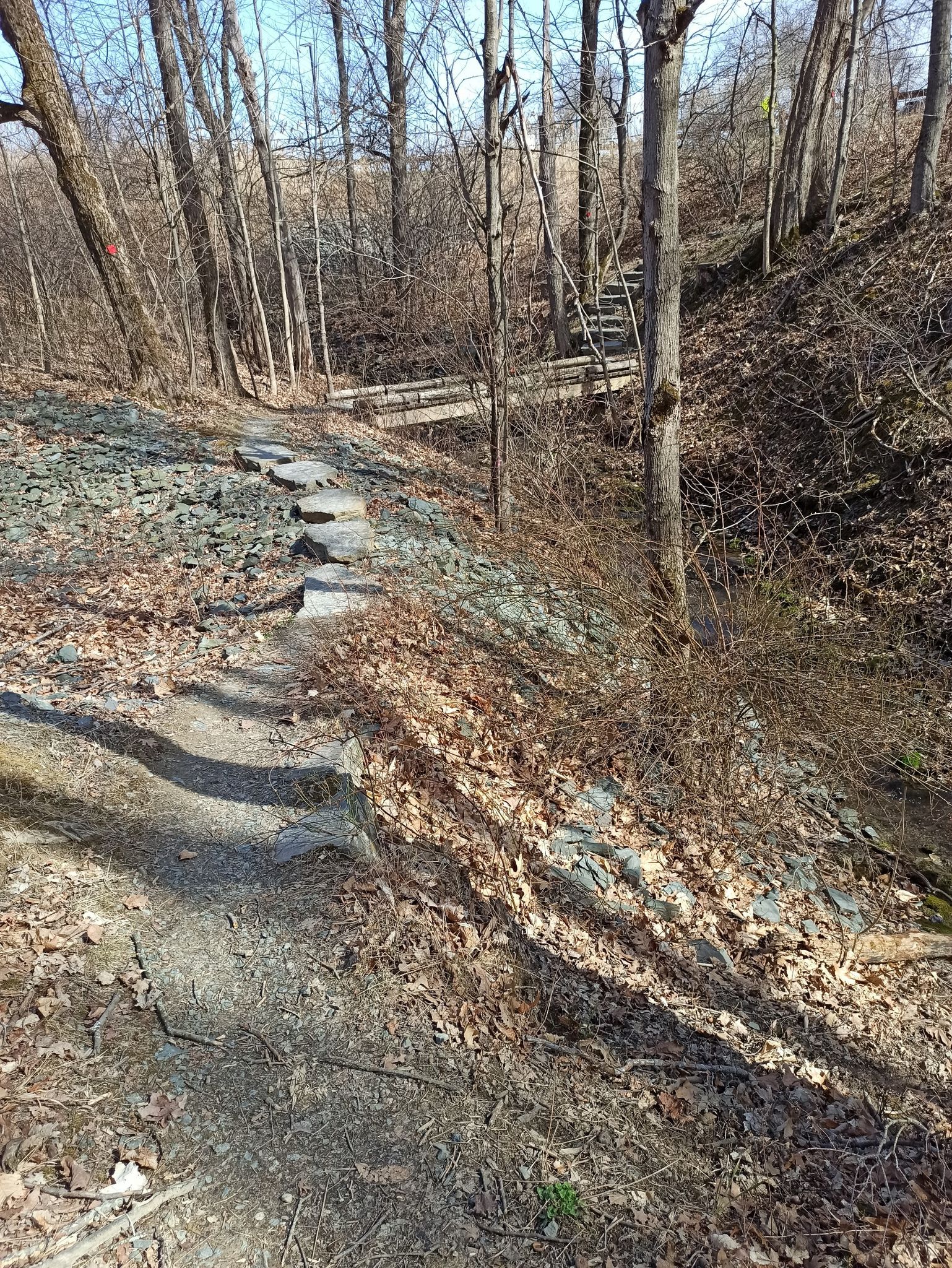 Sunny wooded path with stone steps leading to a distant bridge. - Waterfall Trails loop