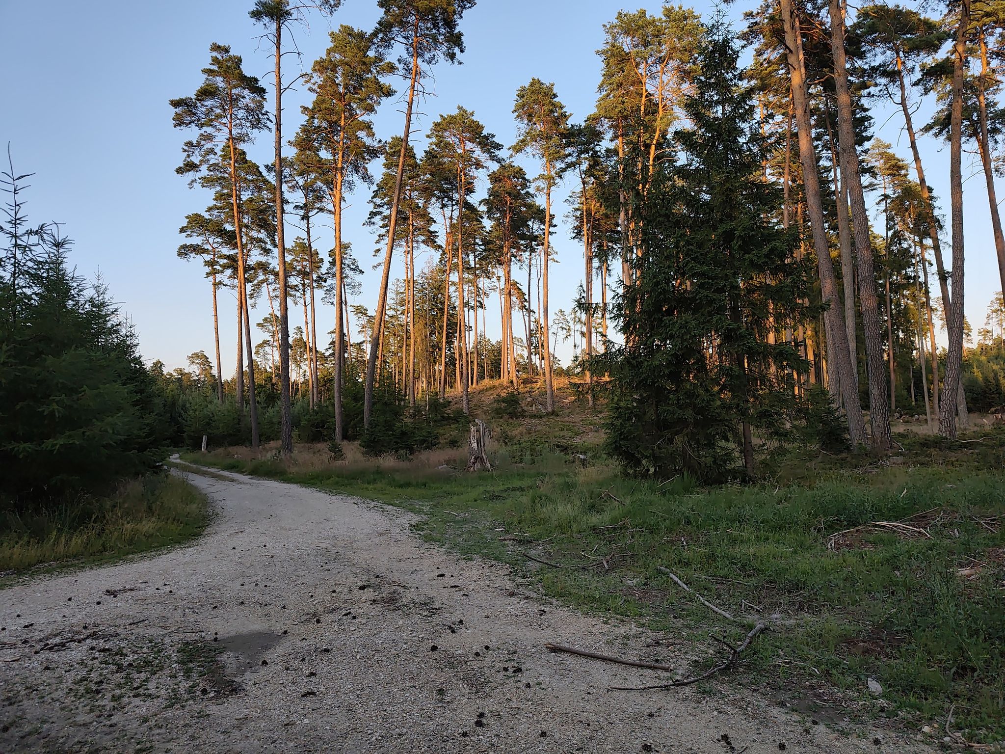 kleine Anhöhe