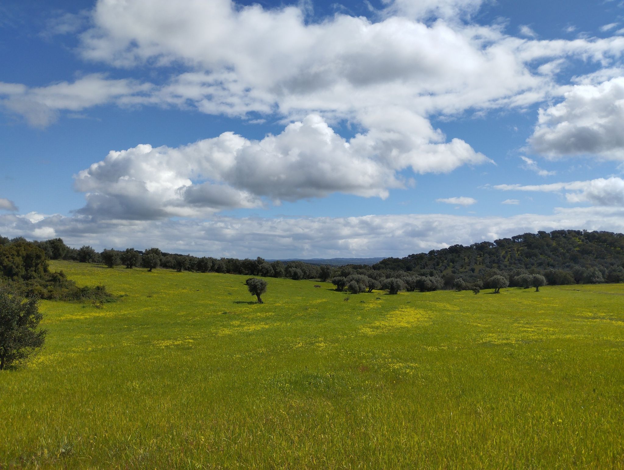 Paisagem alentejana